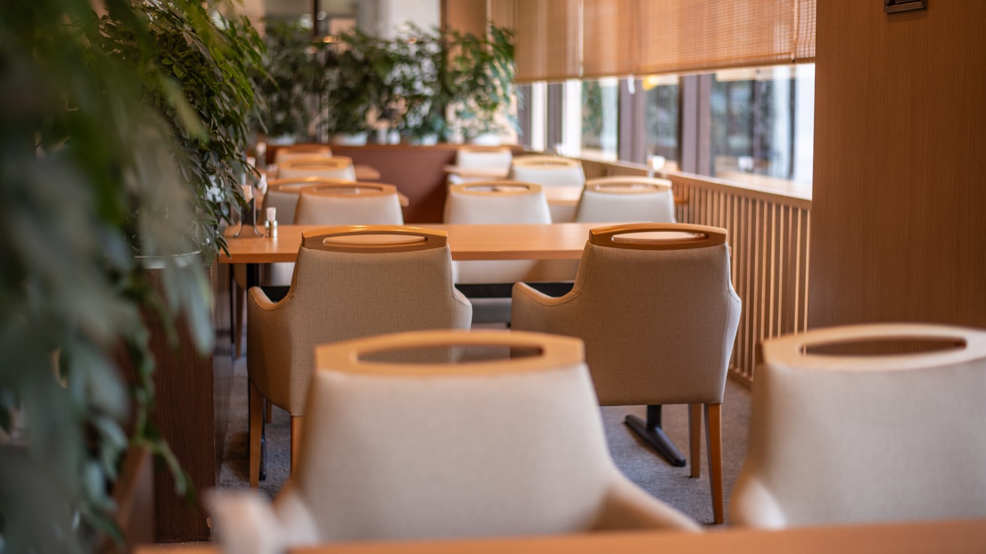Renovating in spring 2024! A bright and refreshing Japanese modern restaurant.