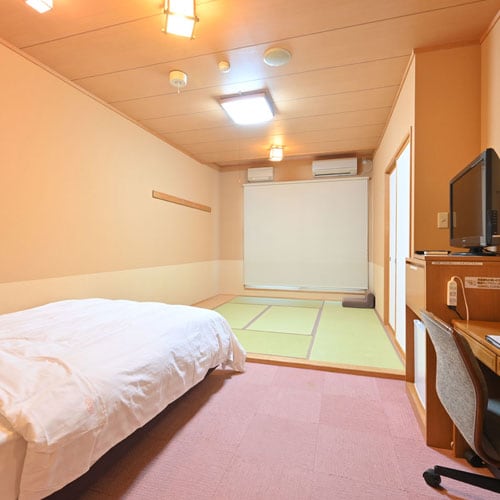 An example of a Japanese-Western style room
