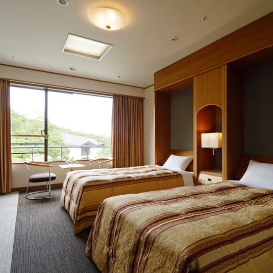 Western-style eco-friendly room (capacity 2 people) All rooms are non-smoking 31.4 square meters