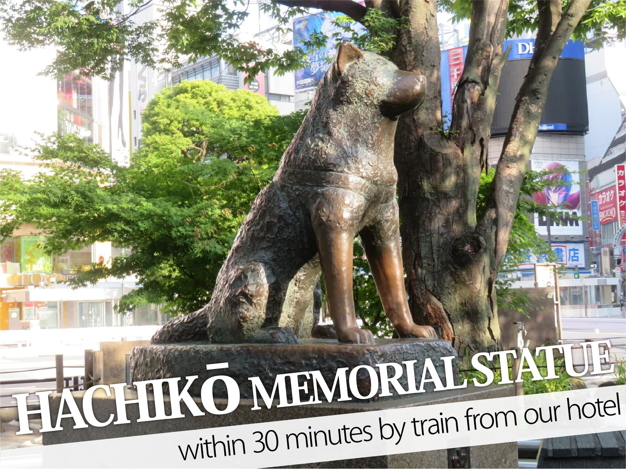 Hachiko Statue(충견 하치 공상)
