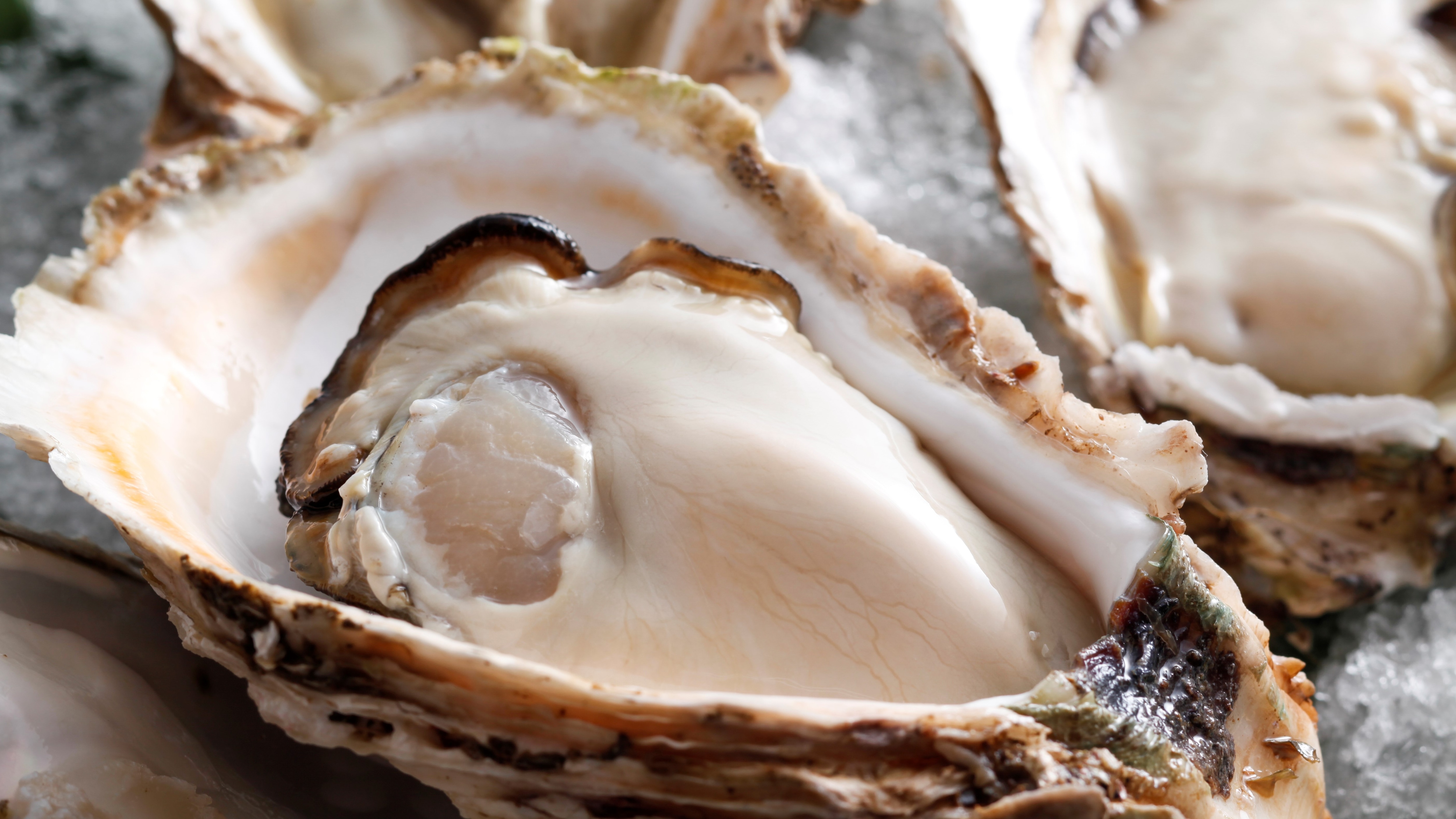 "Iwagaki" oysters from Ine Town, carefully selected by an oyster master, with a rich, mellow flavor and sparkling flavor.