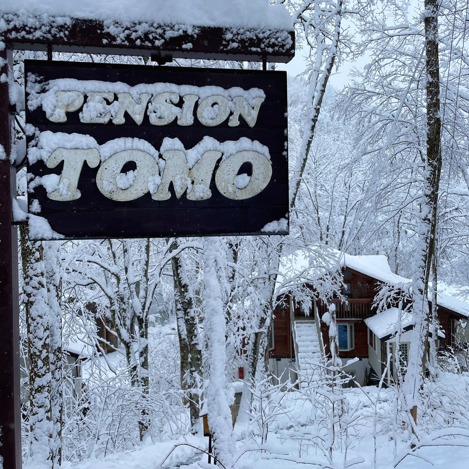 Winter Pension