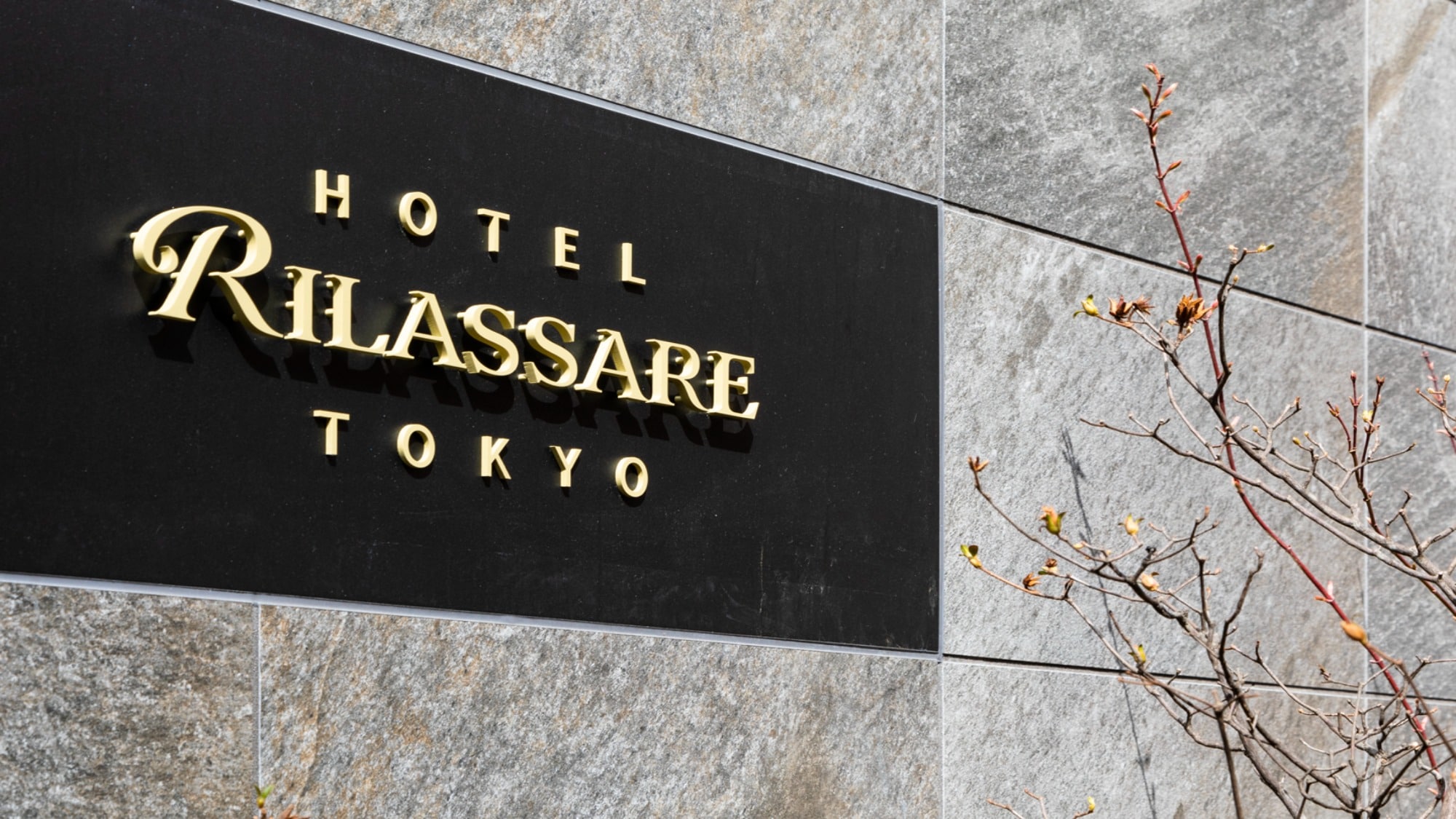 Hotel Lila Salle Tokyo