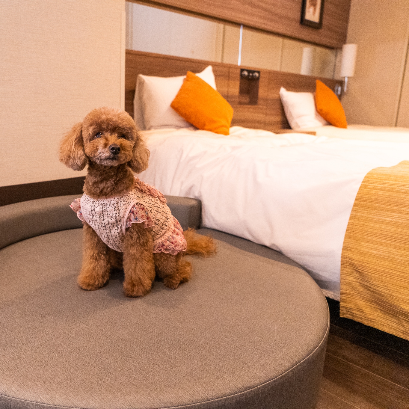 Doggie room
