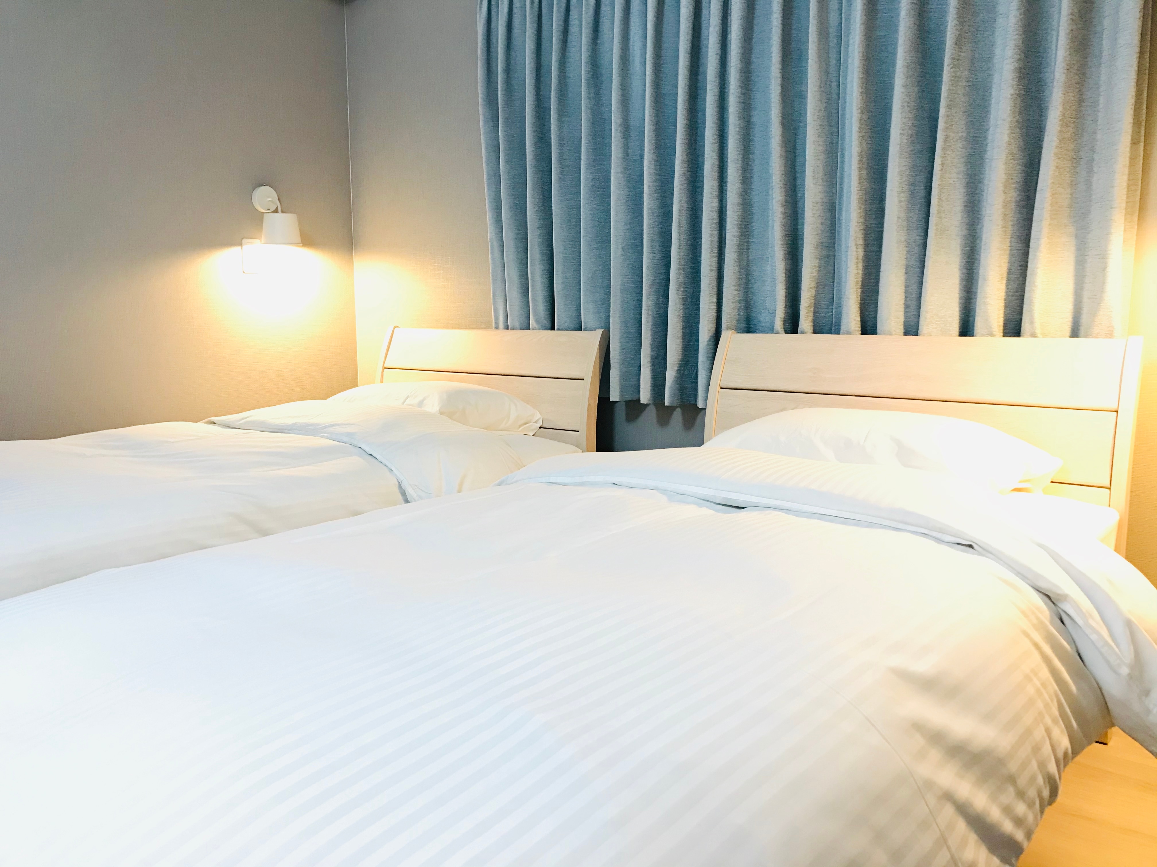 Junior Suite "Winter Fox"