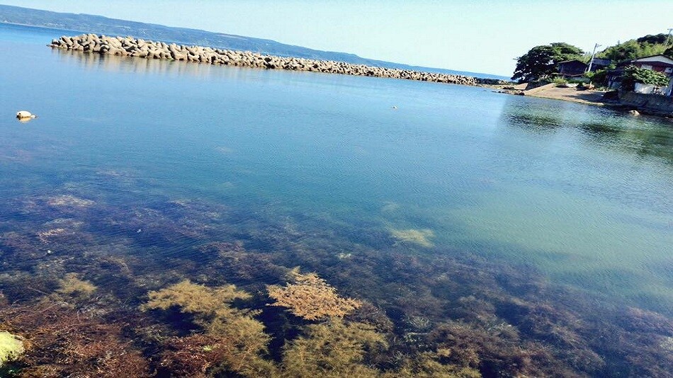 七浦海岸二見漁港