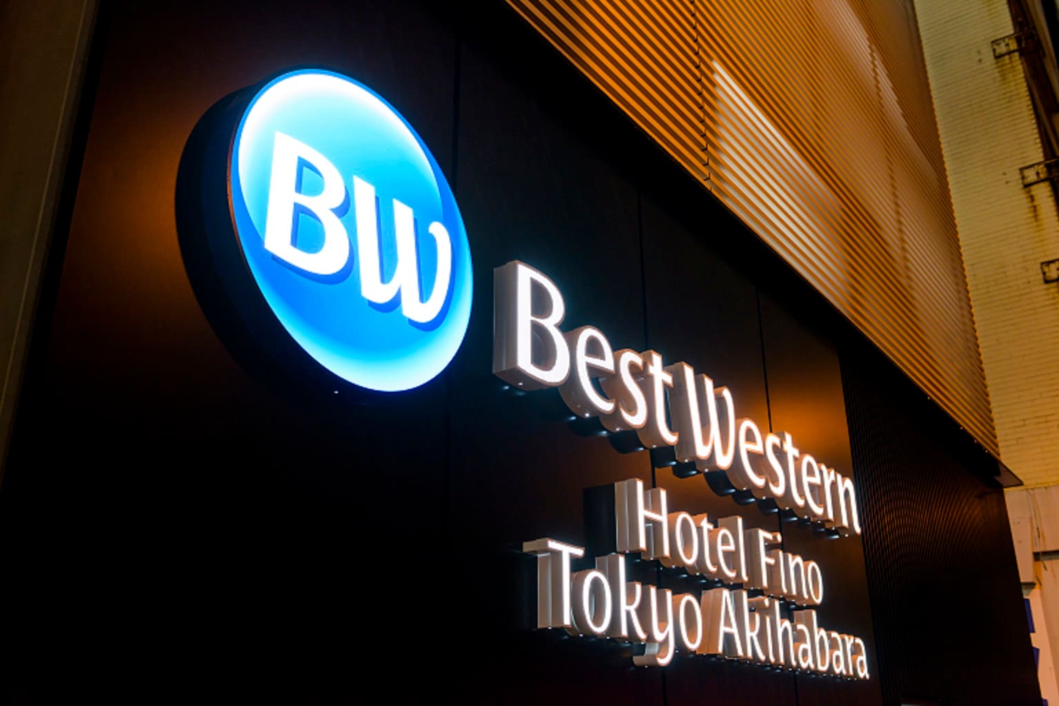 Logo mark (night)