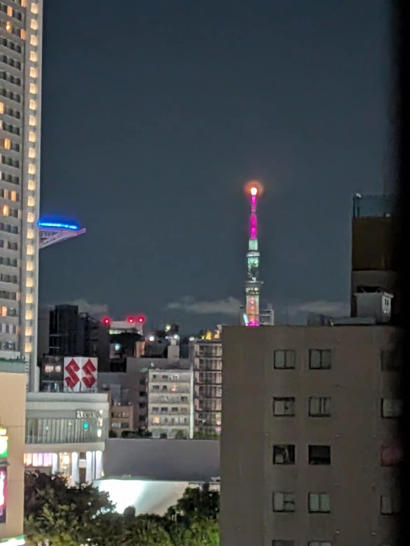 475.jpg