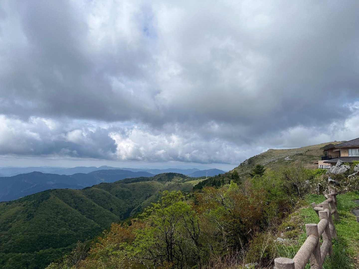 809042A0-4D30-44AC-BC31-C8749E63707C.jpeg