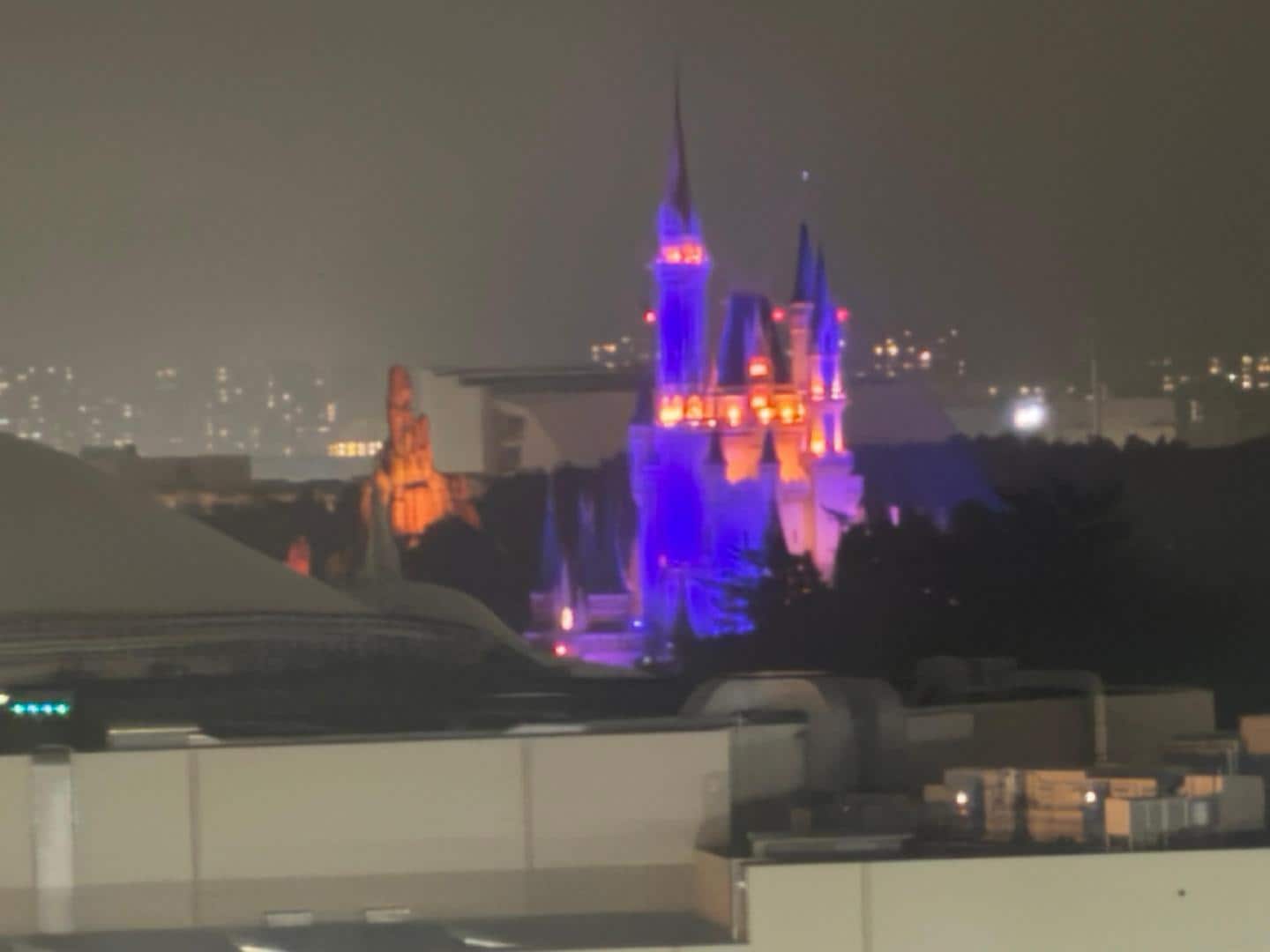 IMG_0065.jpeg