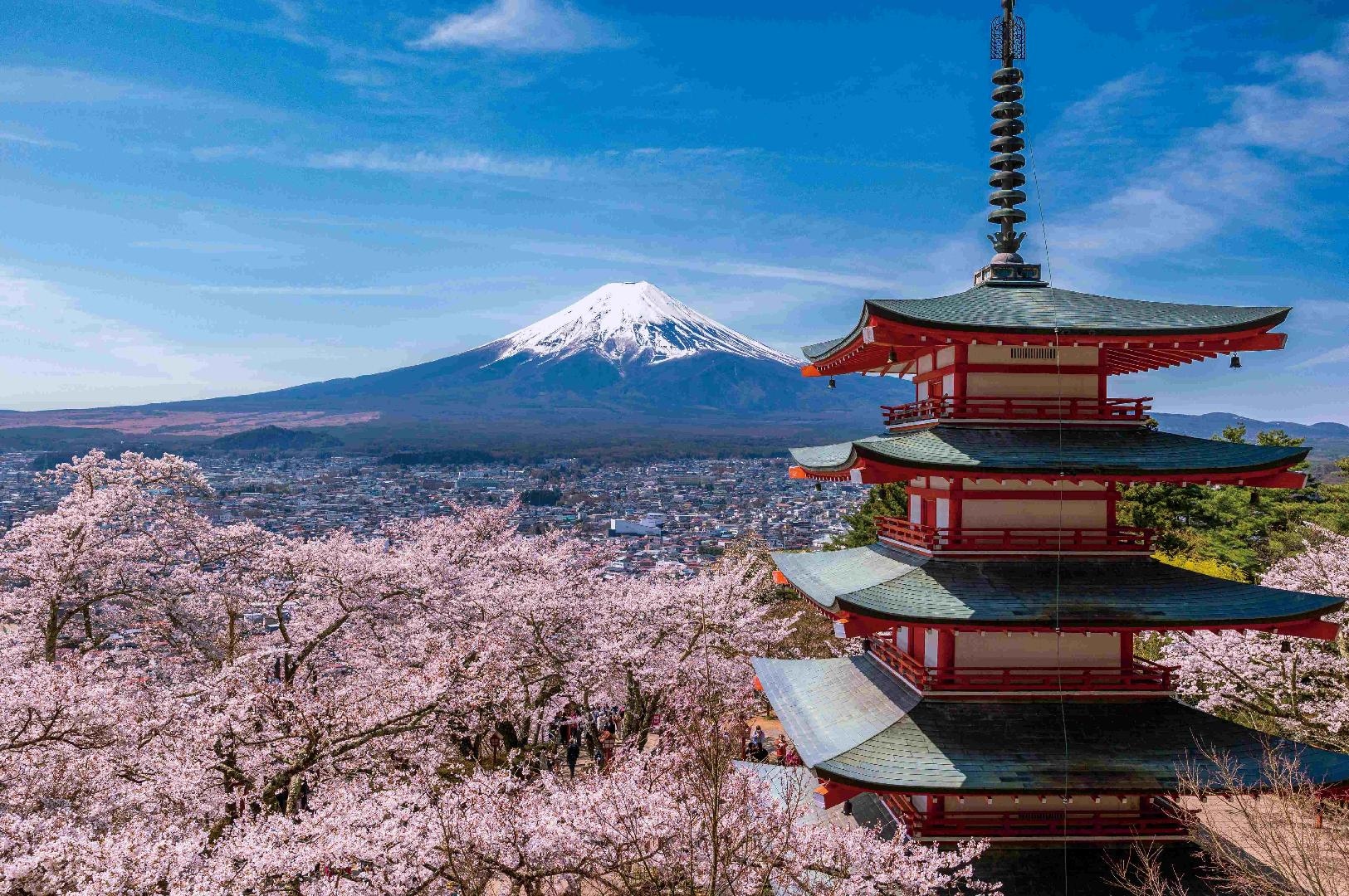 Arakurayama Sengen Park (Chureito Pagoda)