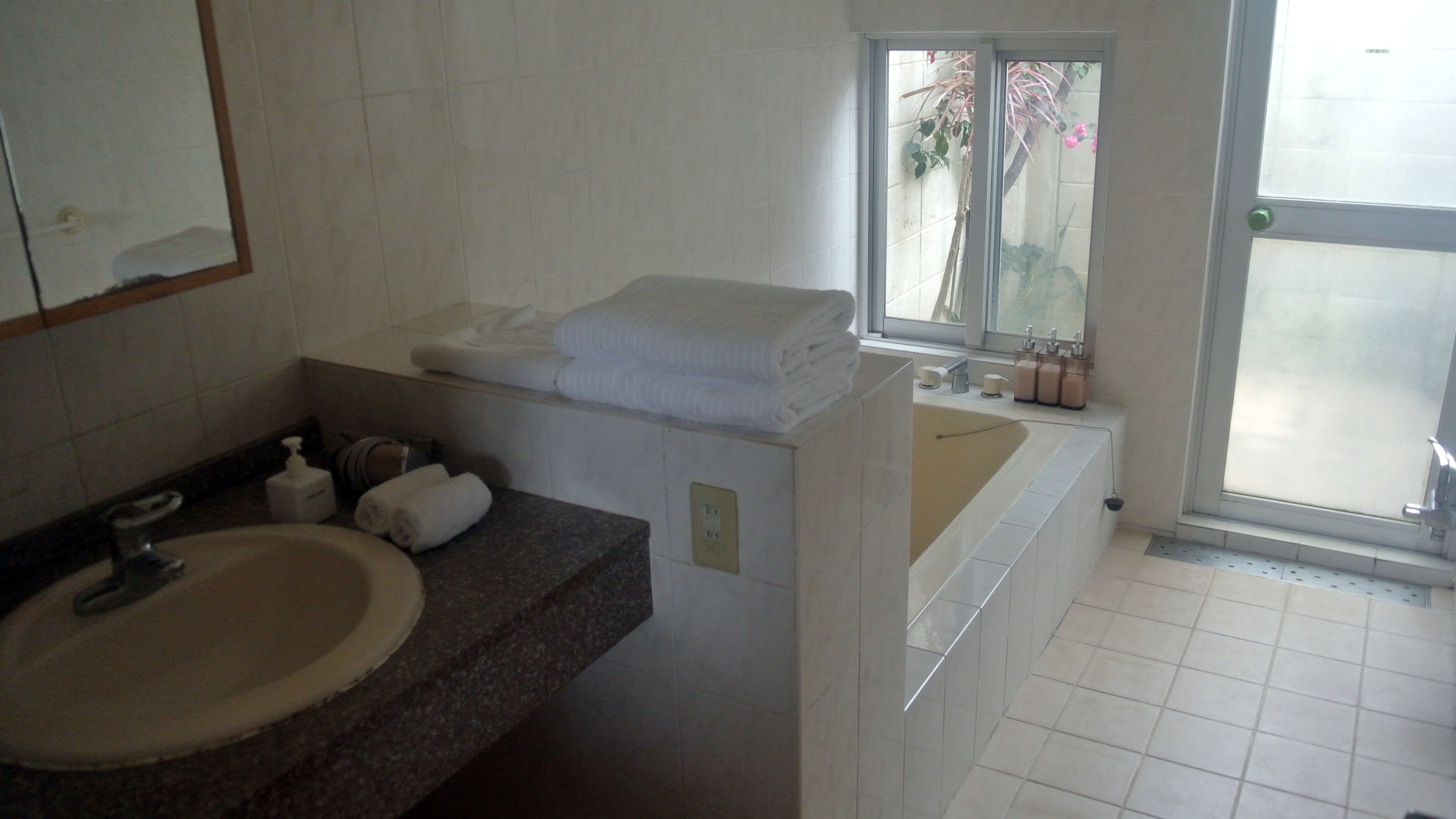 Bathroom/Oceanfront/Junior Suite Cottage Bird of Paradise Flower