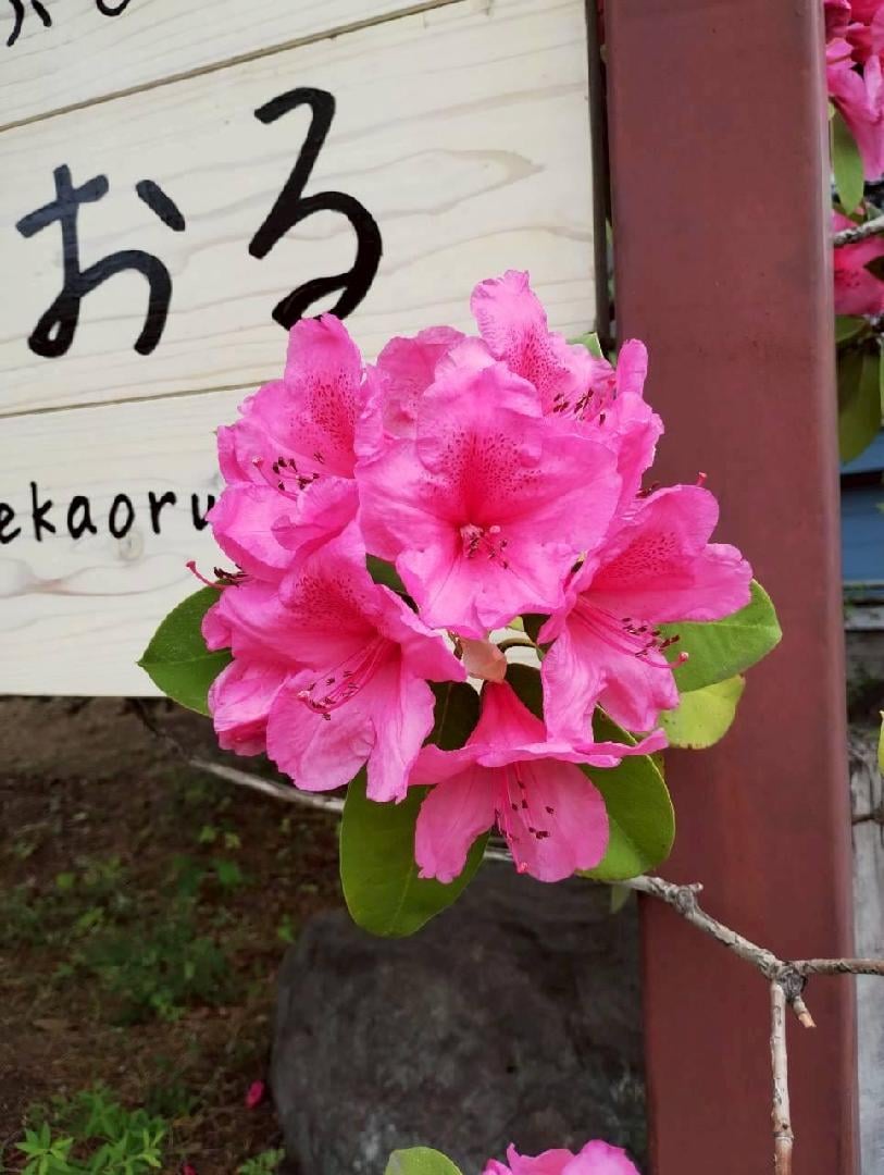 B00FC067-9A8A-41A5-A421-48470E4909D4.jpeg