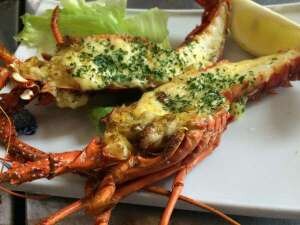 Grilled spiny lobster