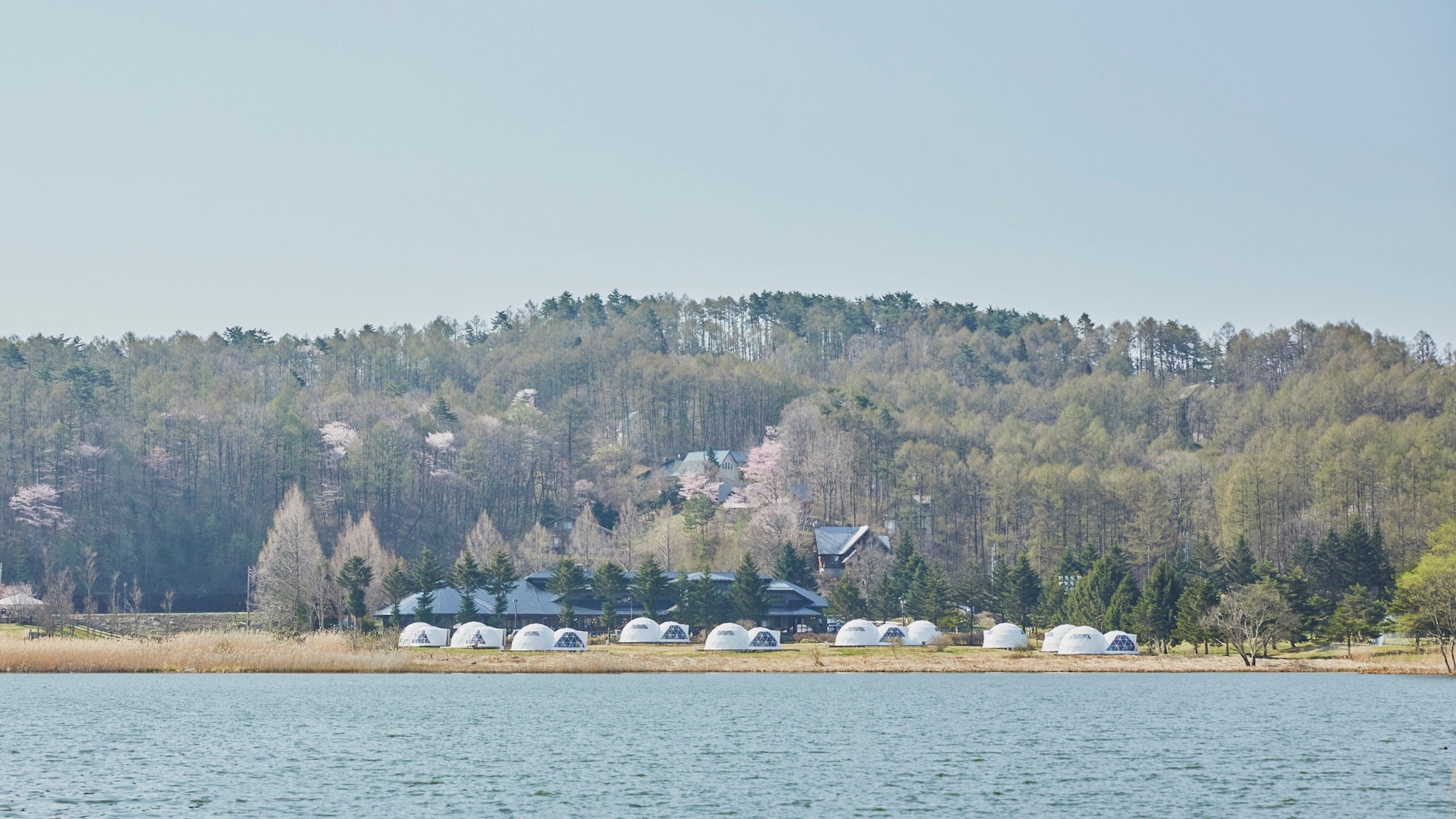 全景春イメージ