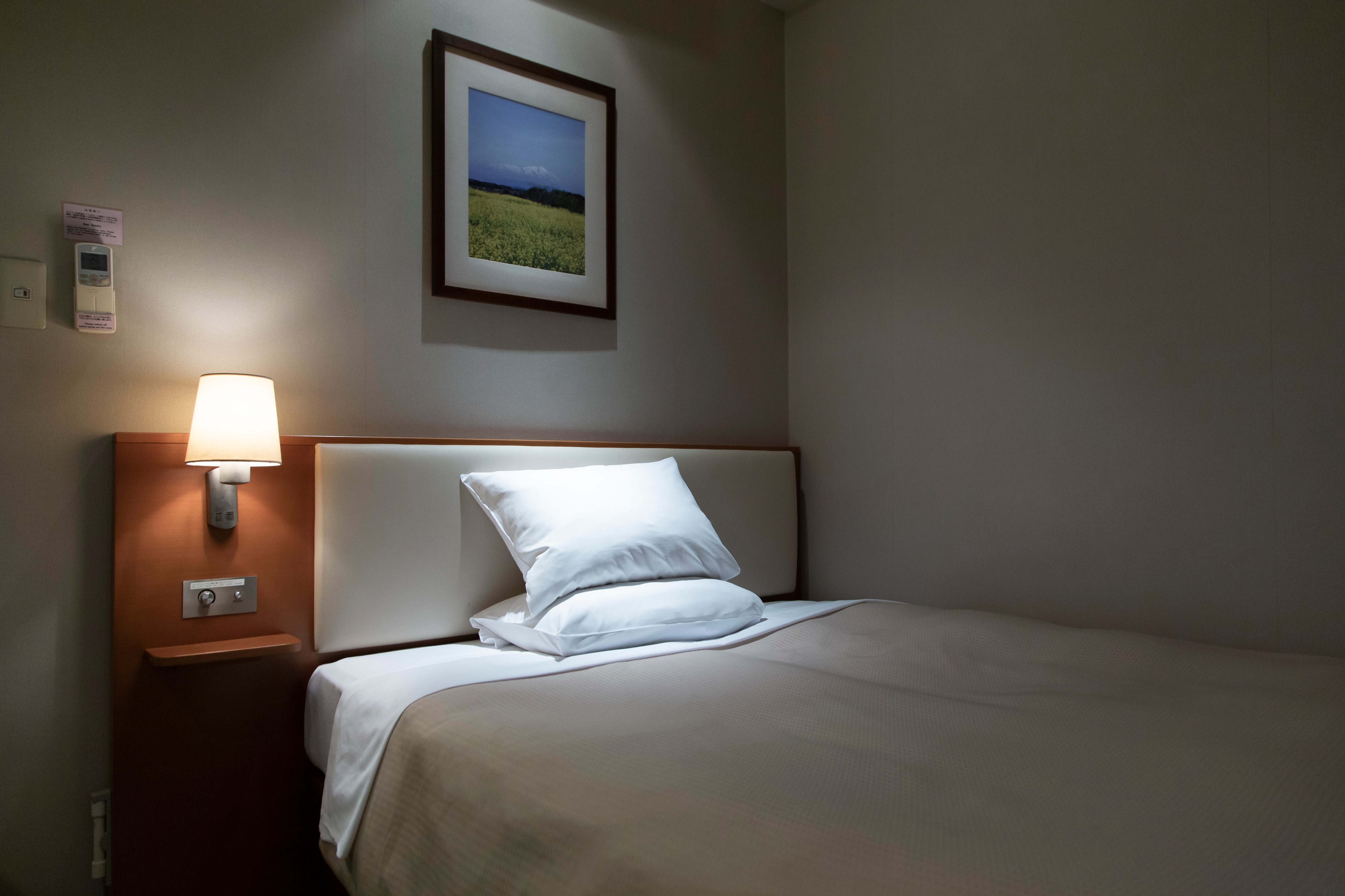 Moderate Single Room