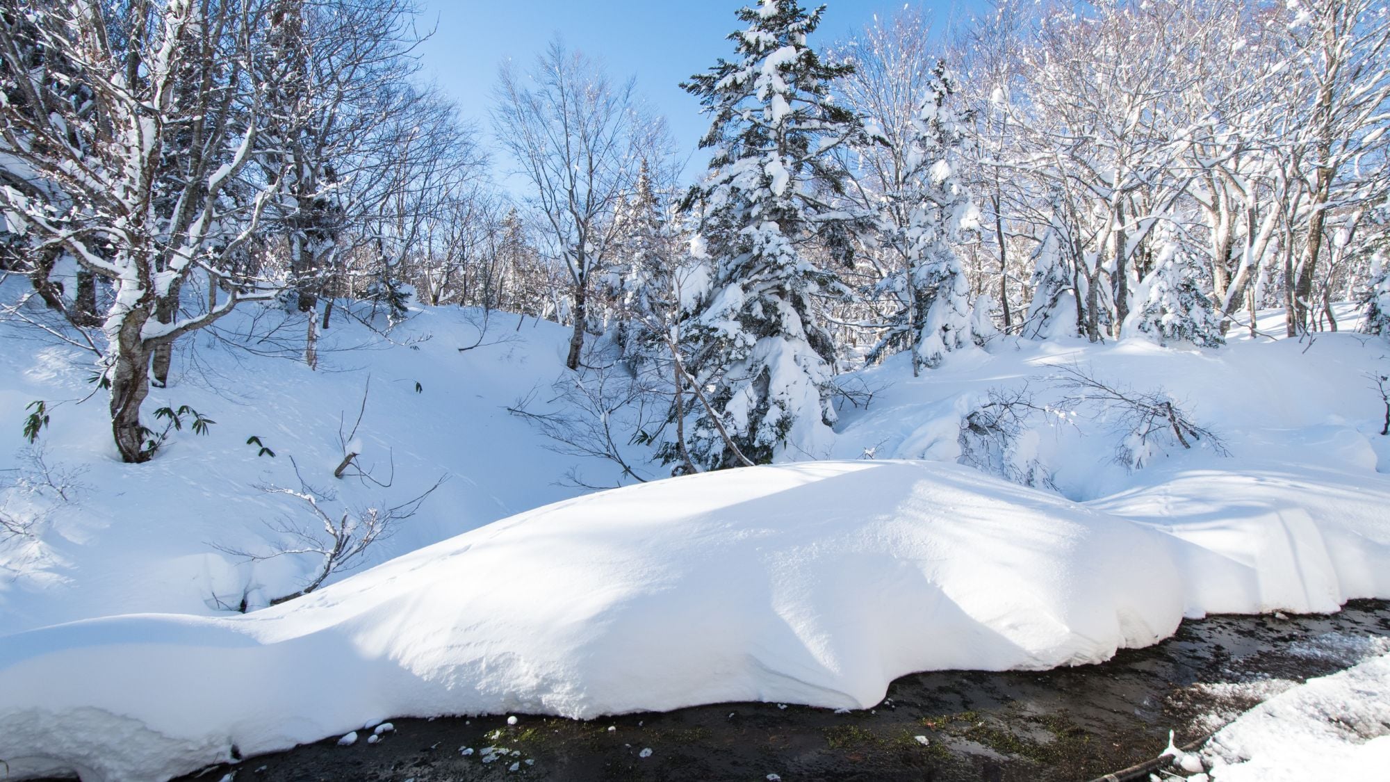 [ภายนอก/ฤดูหนาว]