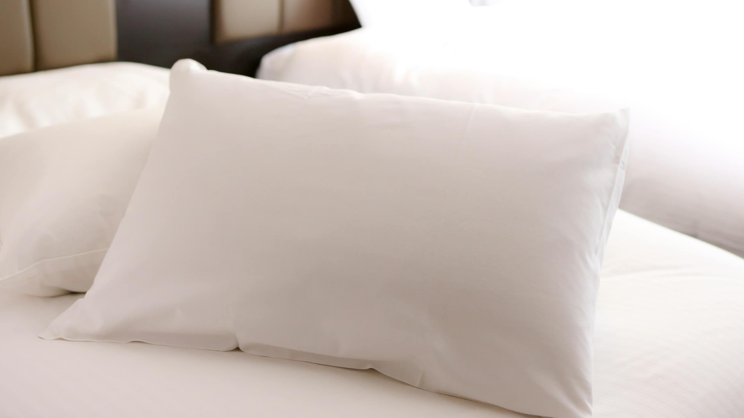 Bantal bulu