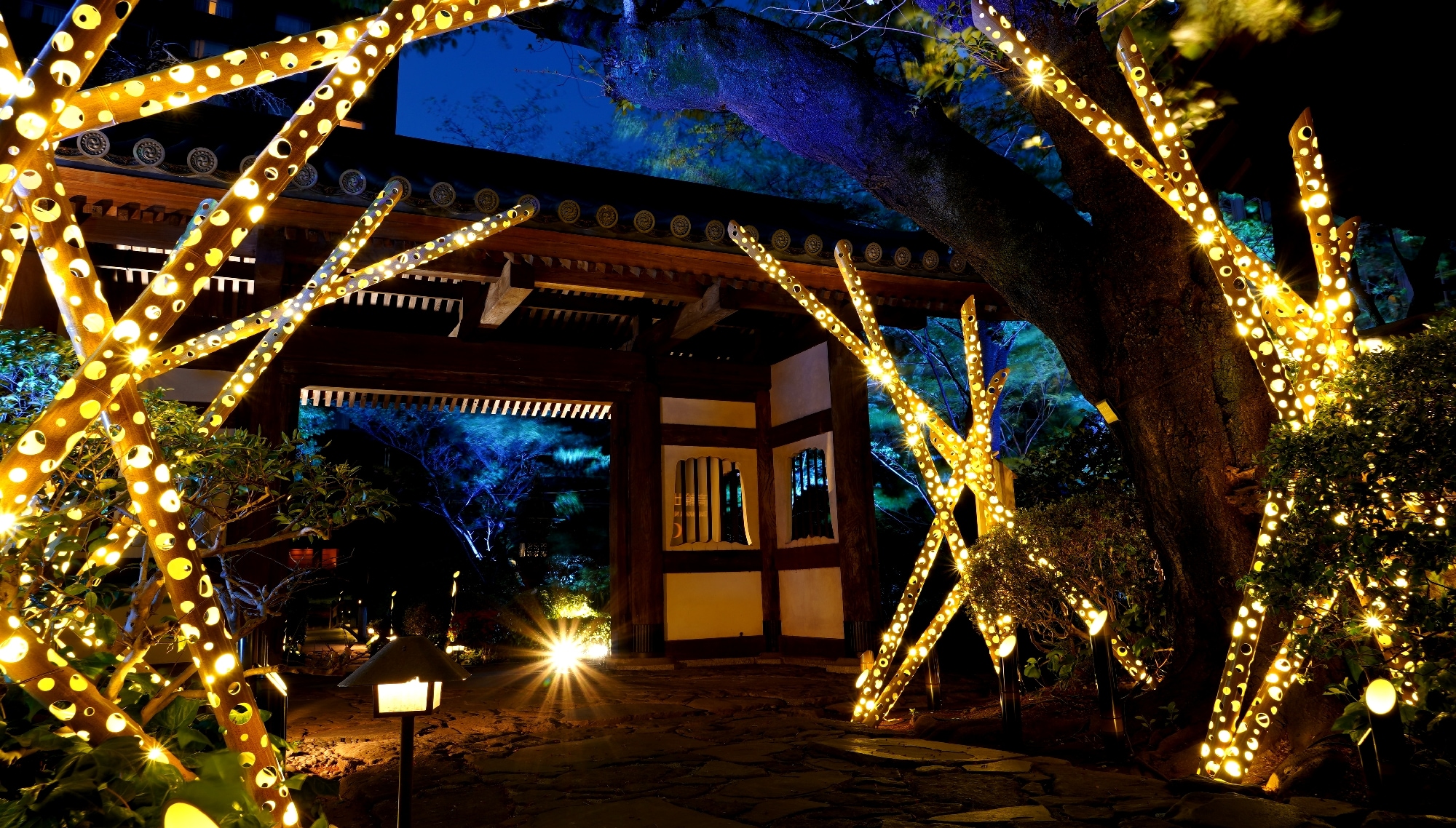 bamboo light image