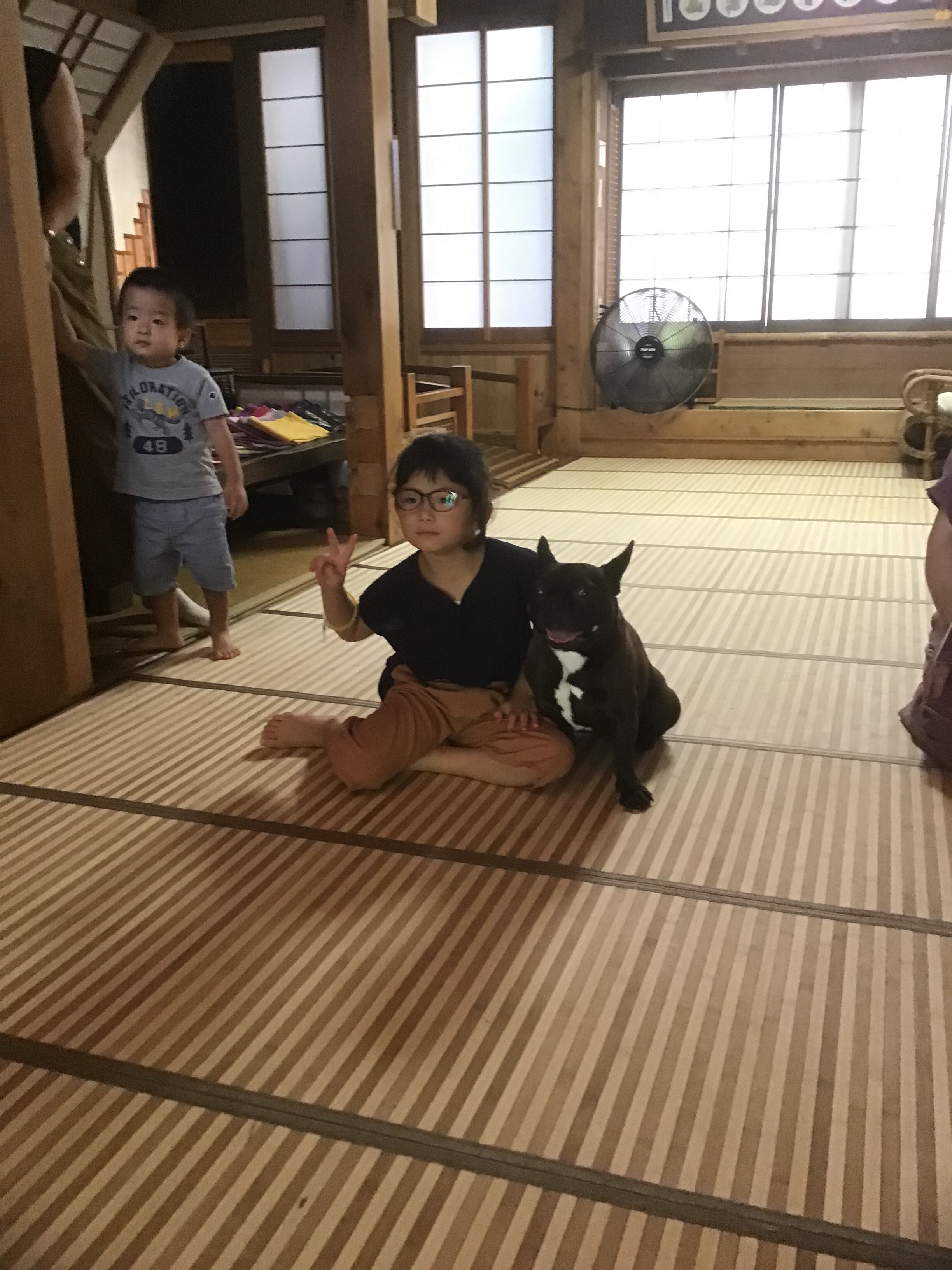 寵物