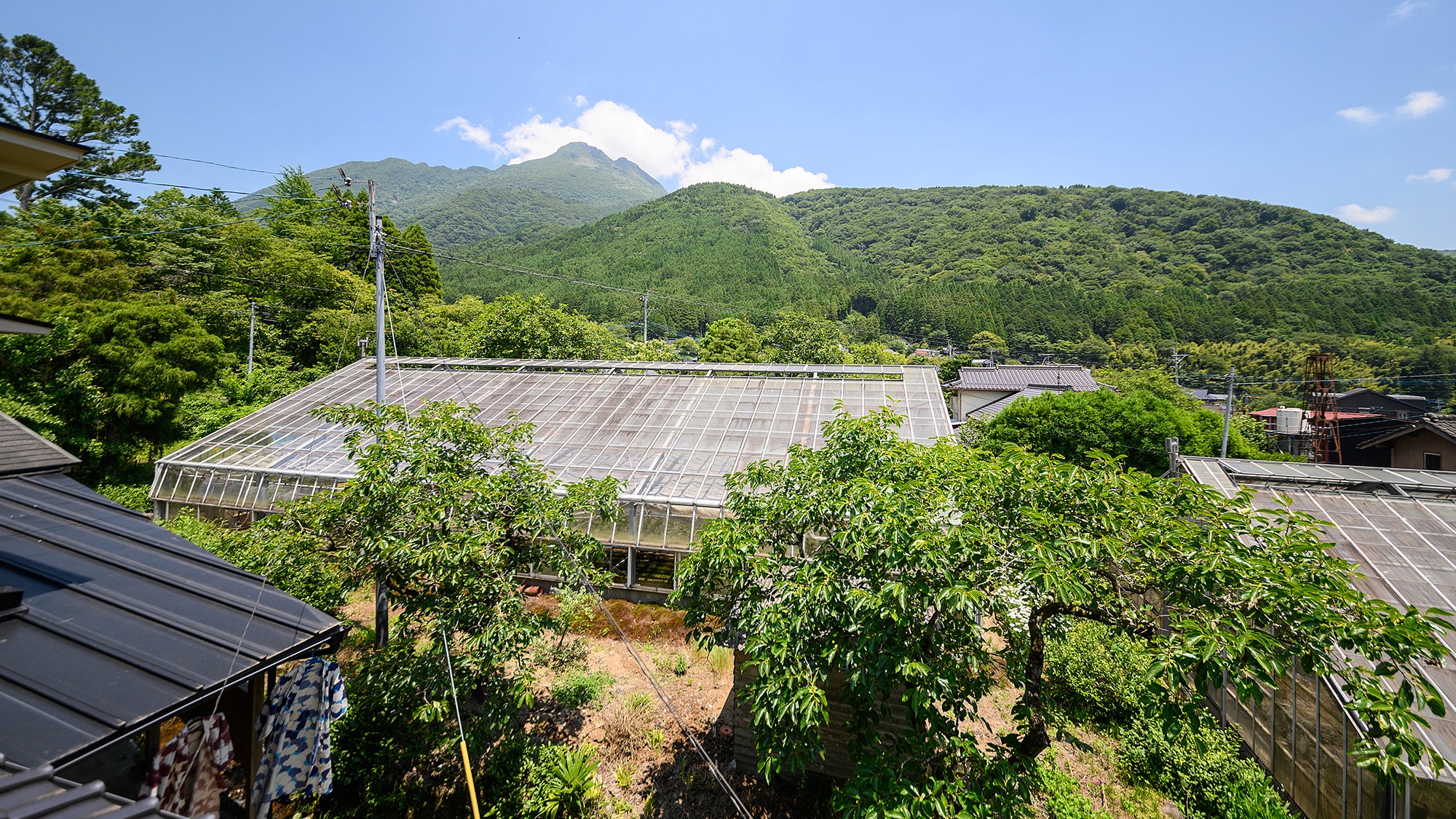 ● 日式房間8張榻榻米觀景/例