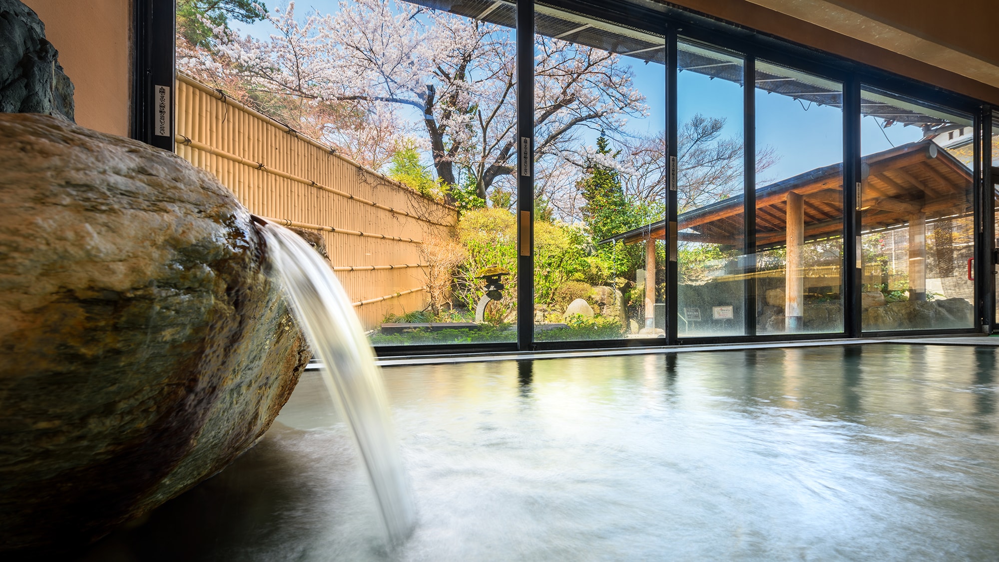 ■ Large communal bath Tendo ■ In the spring, "relaxing" while watching the big cherry blossoms