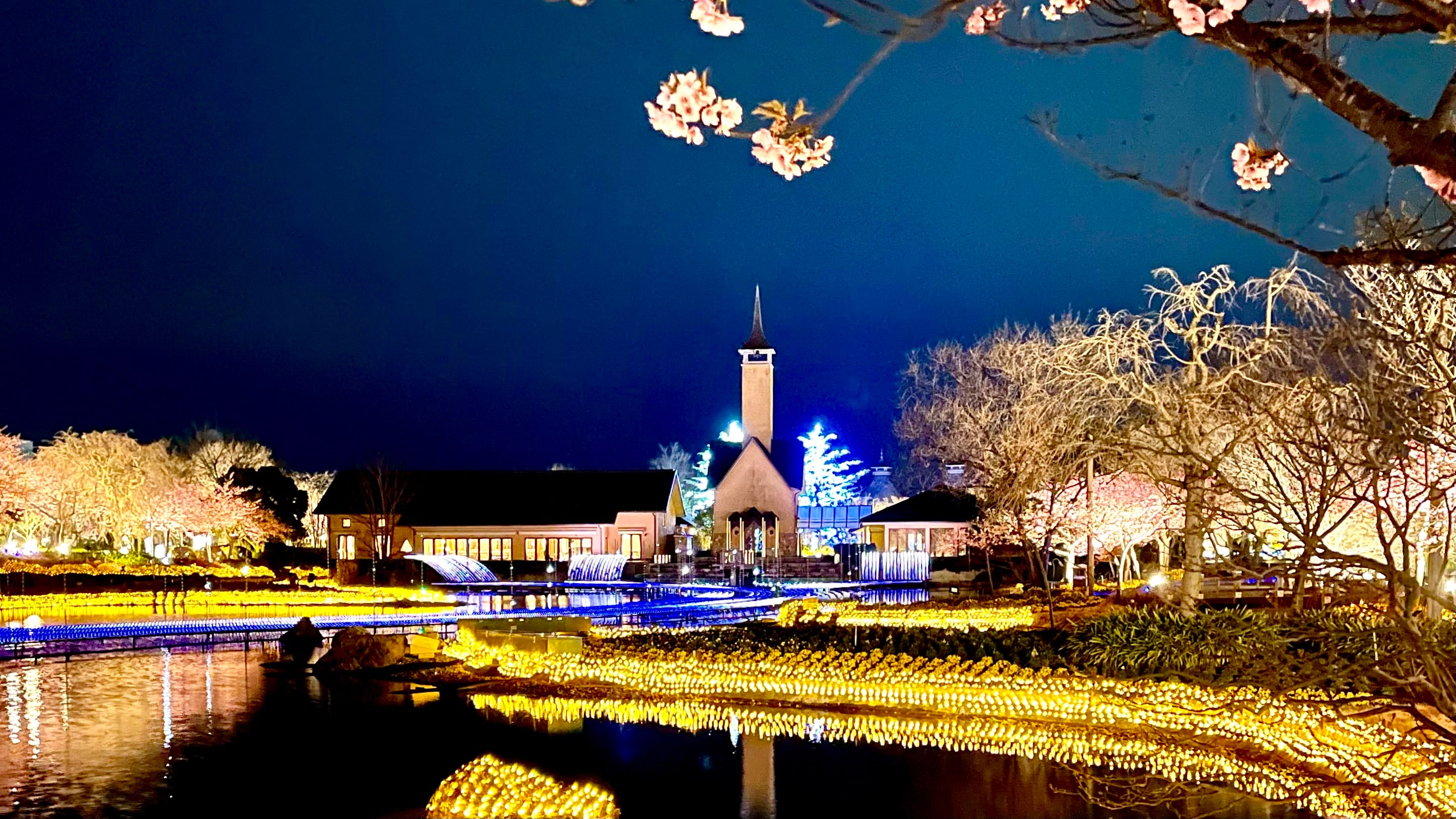 Nabana no Sato Illumination