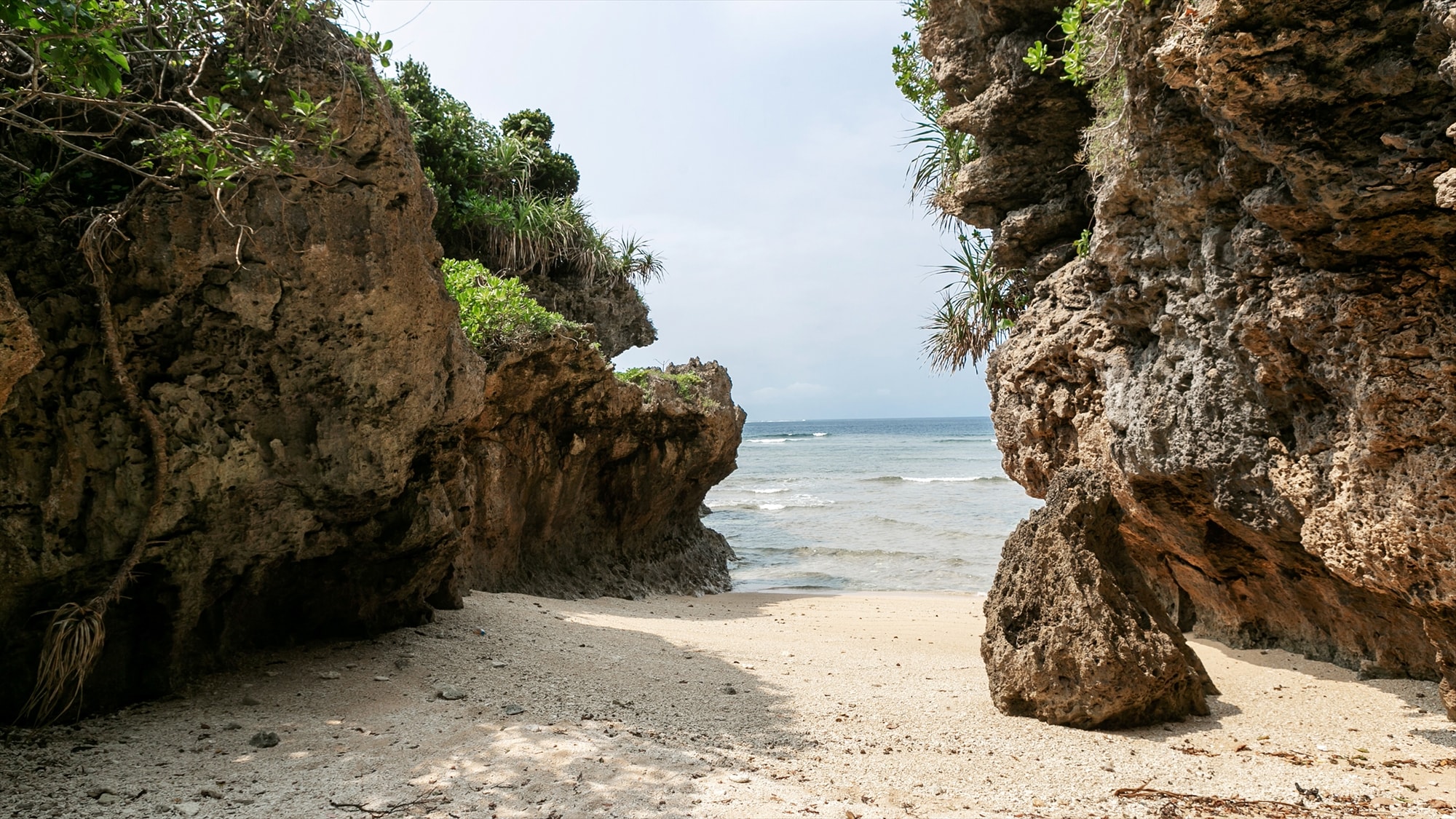 ｜Vila｜Pantai pribadi