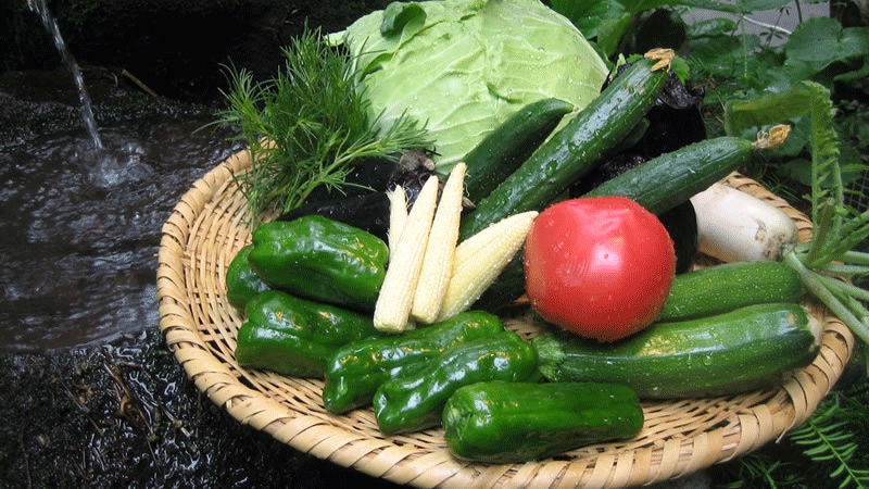 Fresh bounty from locally produced produce
