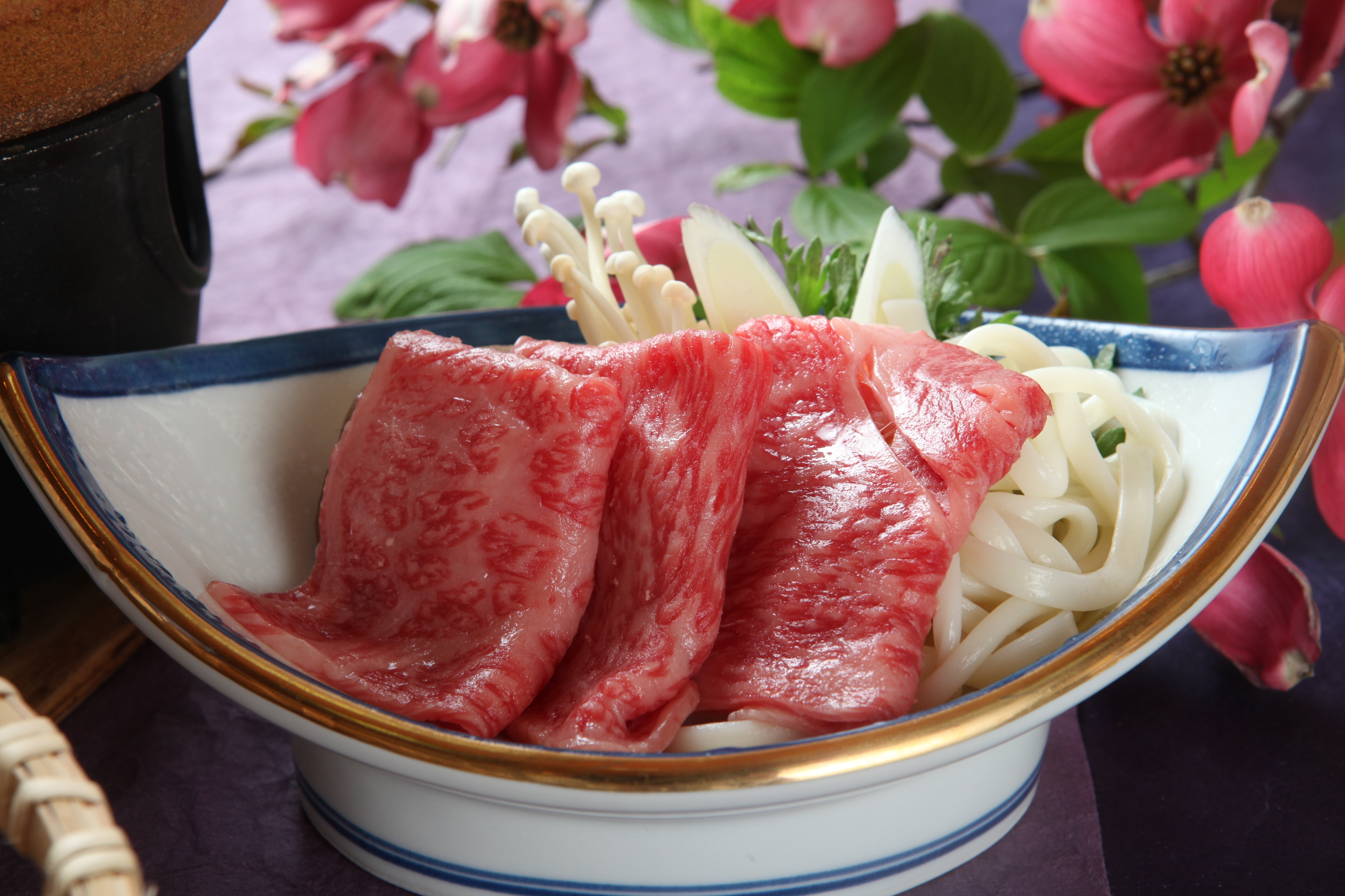 Hida beef pot