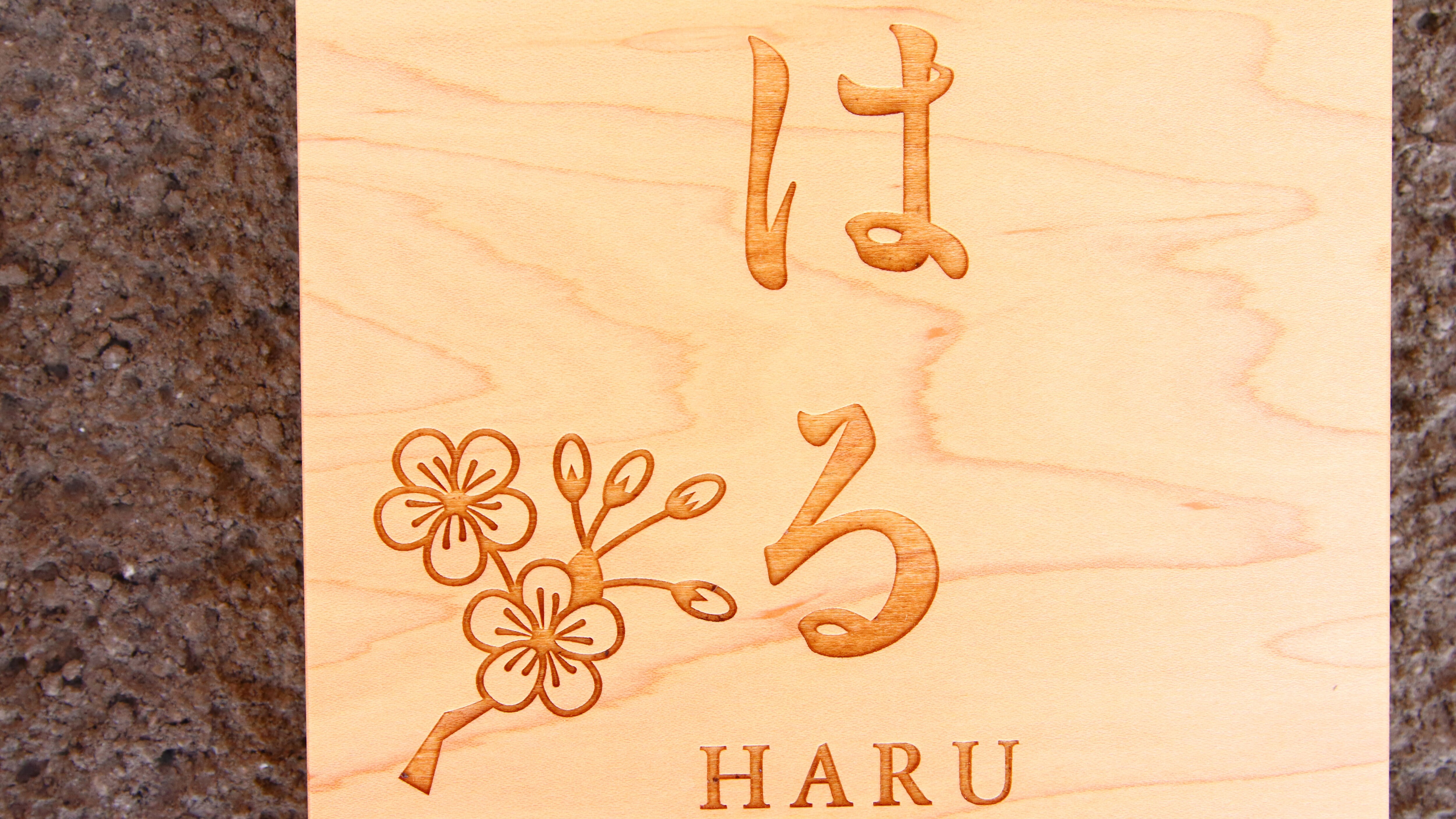 Guest Room -Haru-