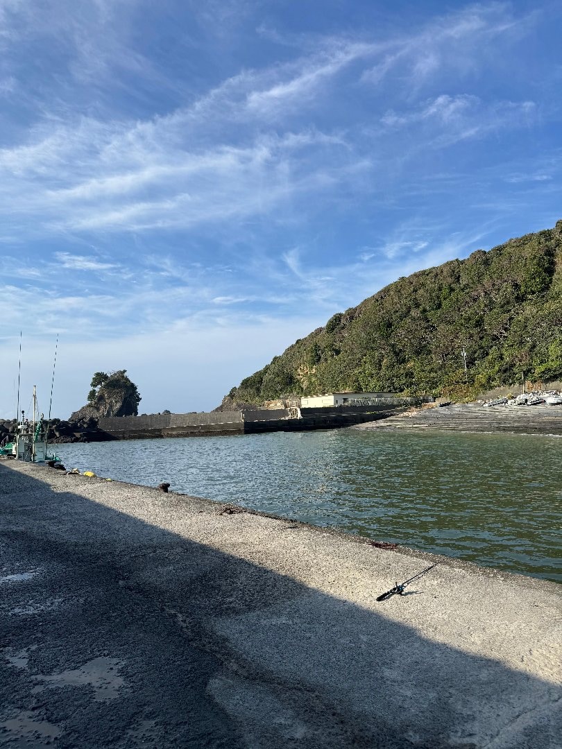 IMG_4335.jpeg