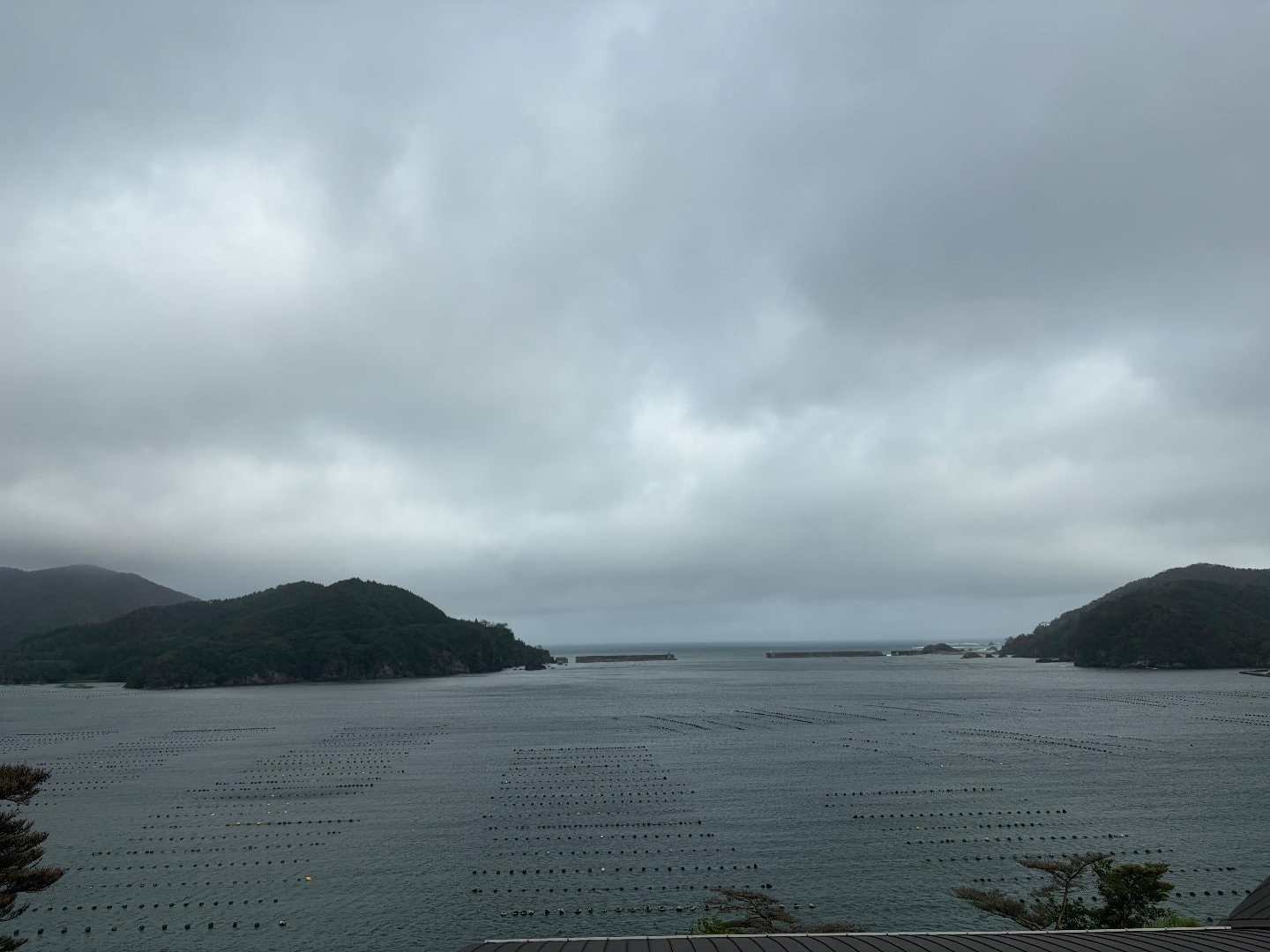 C35293DB-5D23-48B5-989A-E6774EFA0678.jpeg