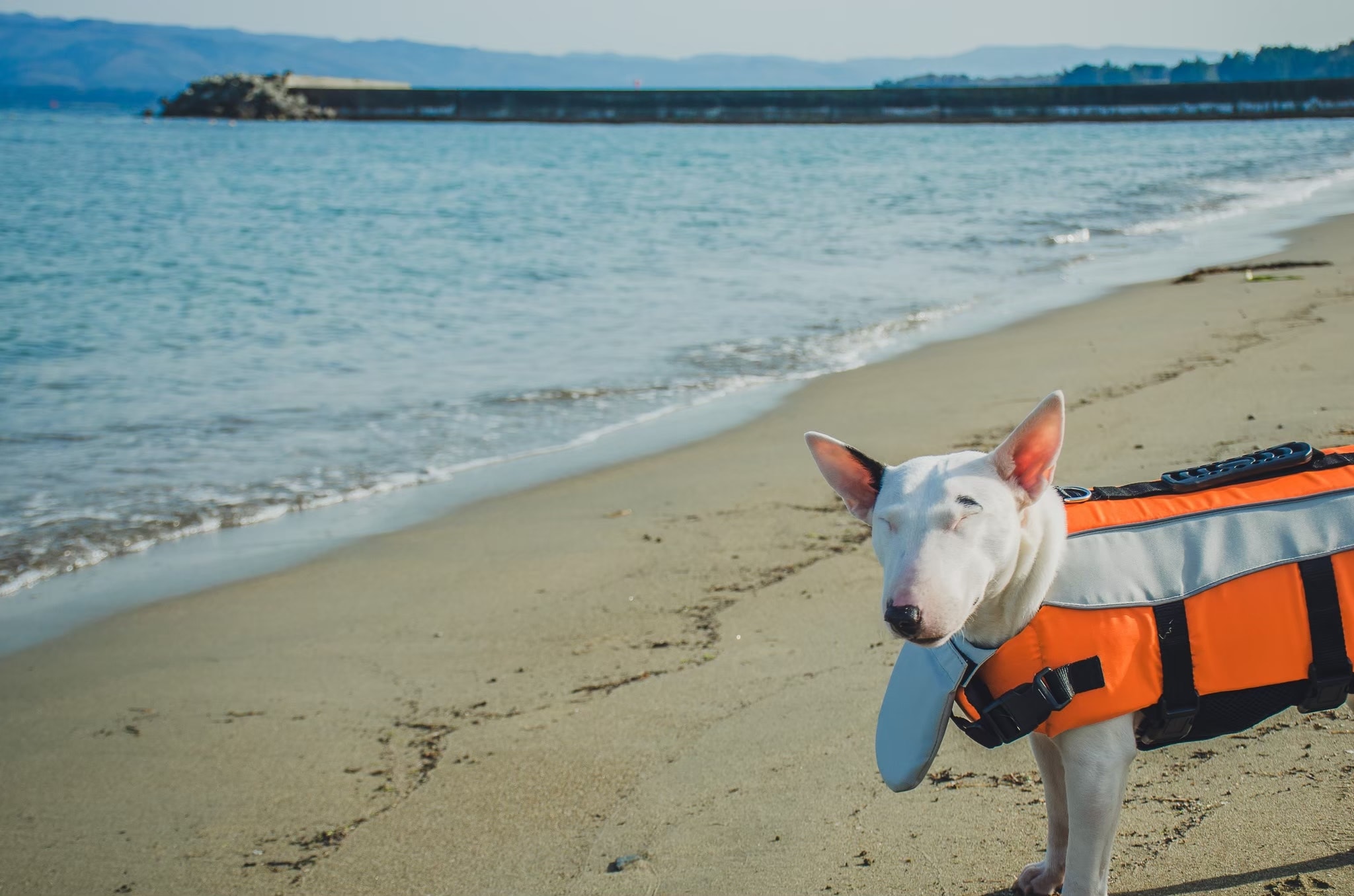 Swimming in the sea wearing a life jacket