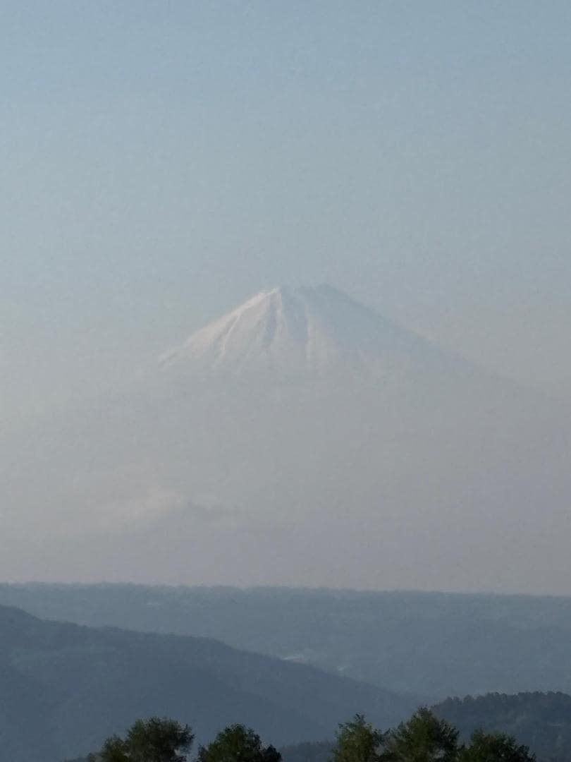 IMG_3563.jpeg