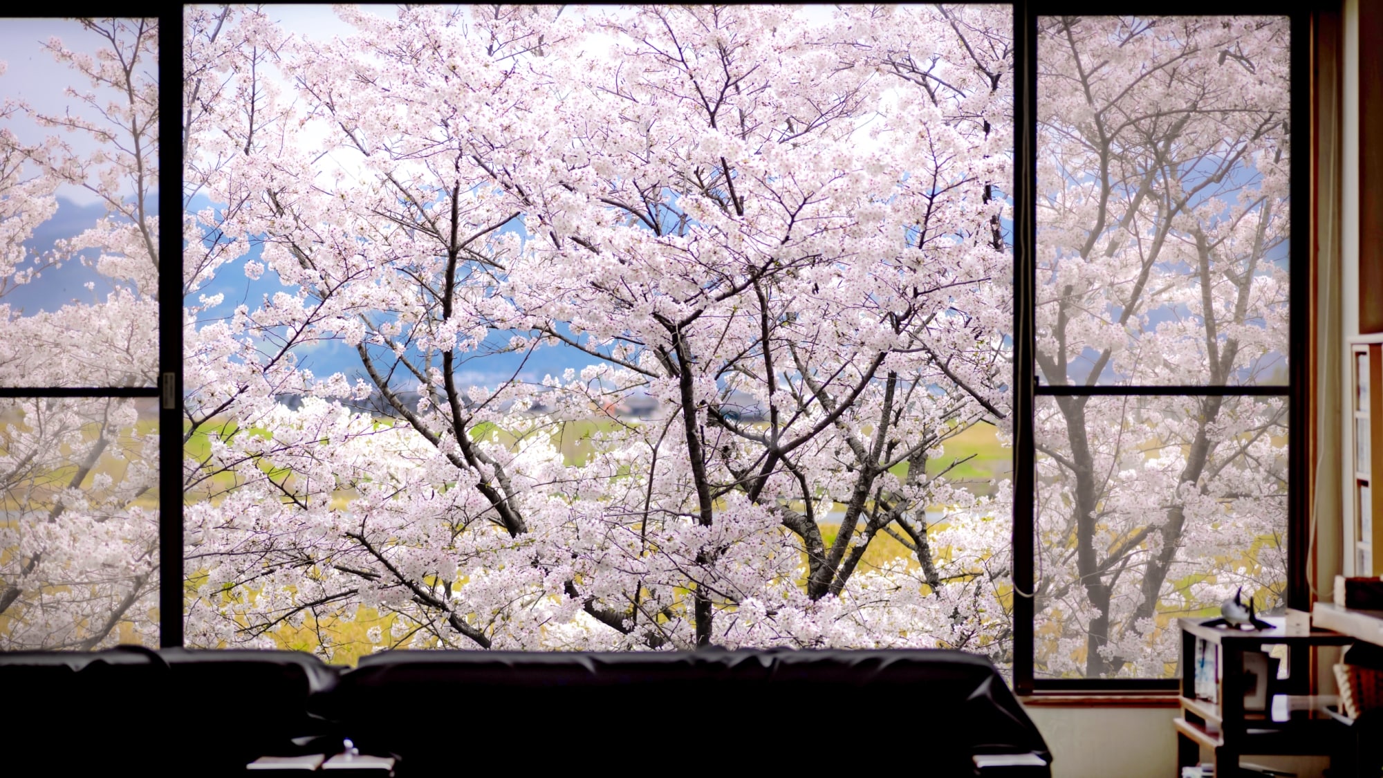 ・[春季] 前台及大廳