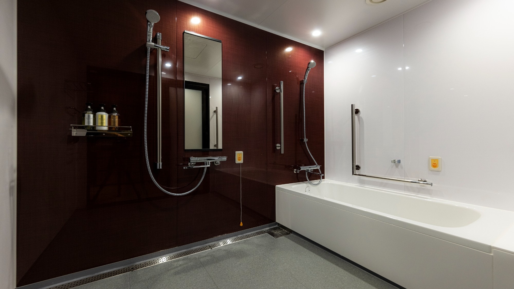 [Universal double] The bathroom has a handrail and a call button.