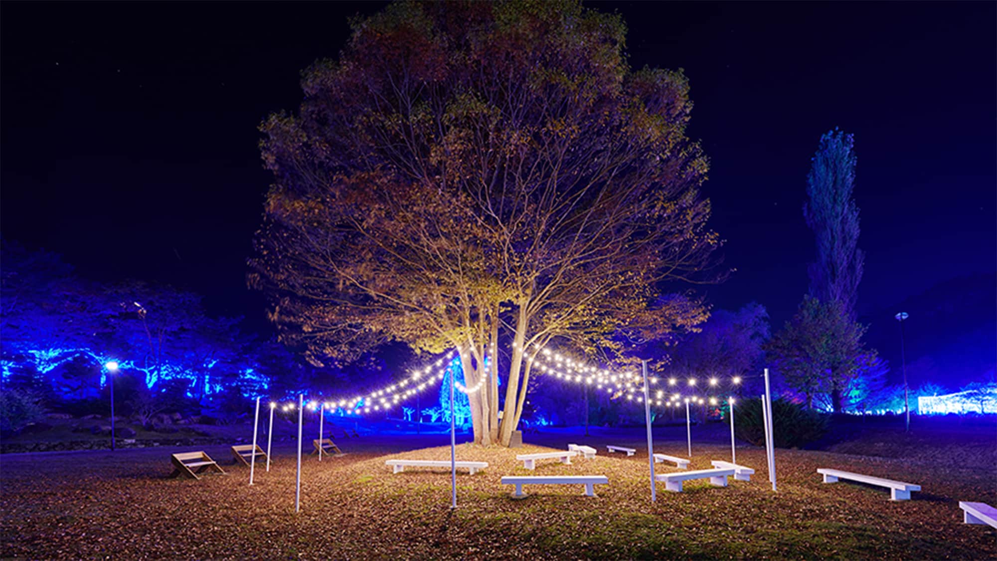 [Illumination] [Welcome Area] This area is also a popular photo spot.