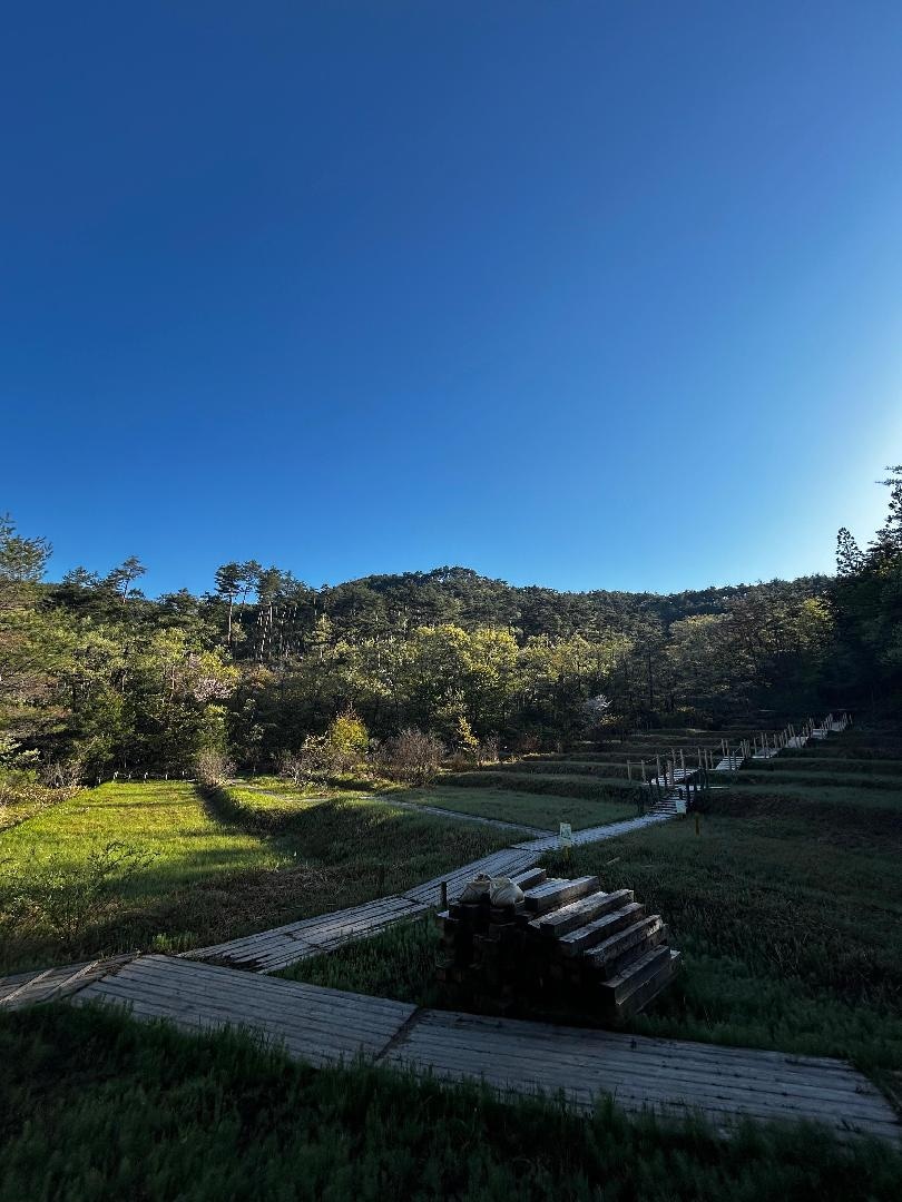 4F08AE25-5AD9-4257-A6D6-C8190448C68B.jpeg
