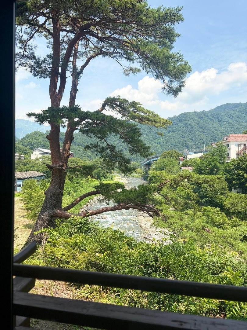 IMG_9234.jpeg