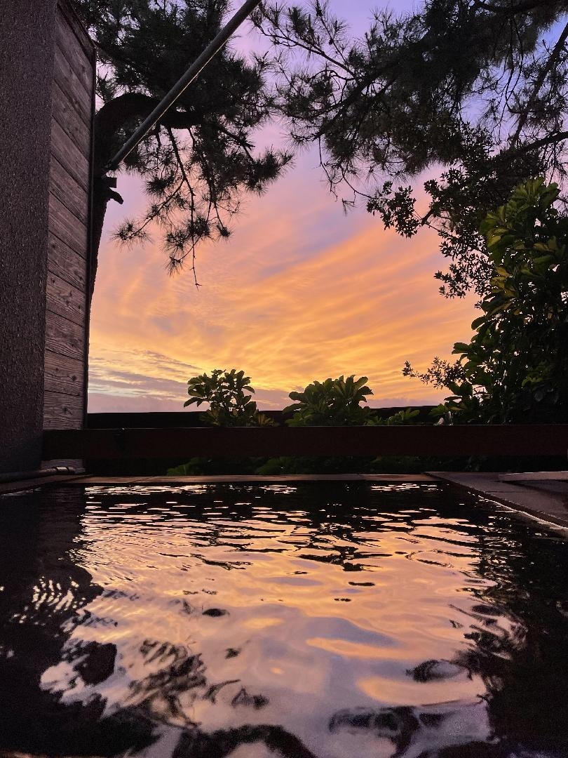 4DEEDB28-29C9-439E-BB20-82479B5FE321.jpeg