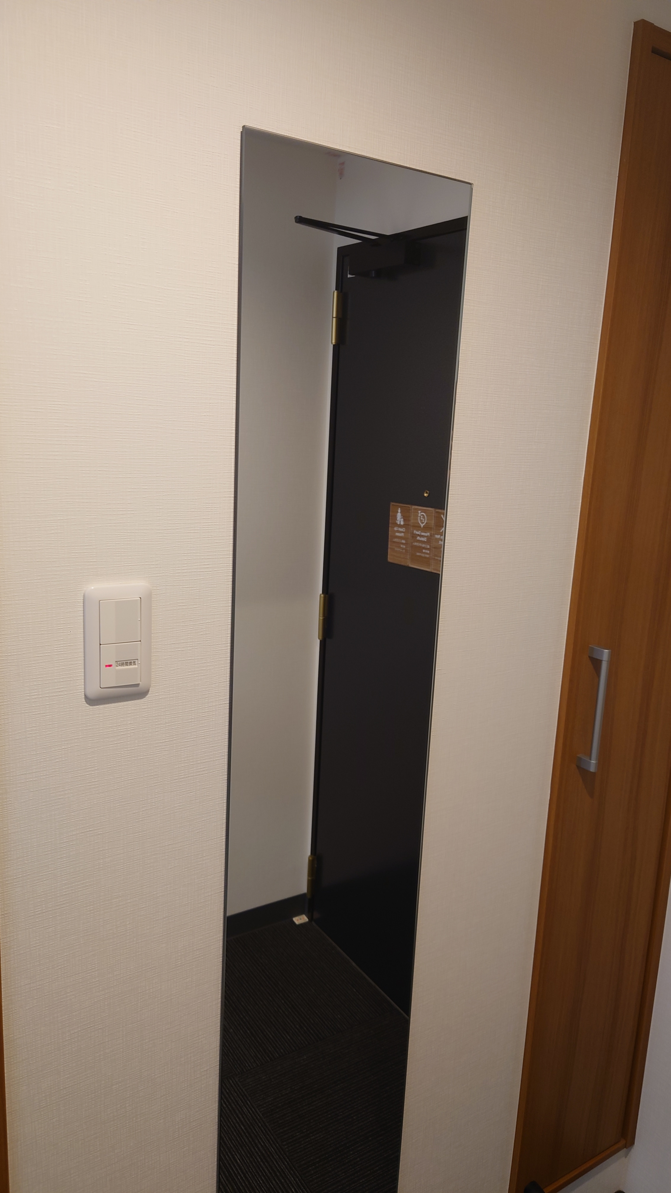 Full-length mirror