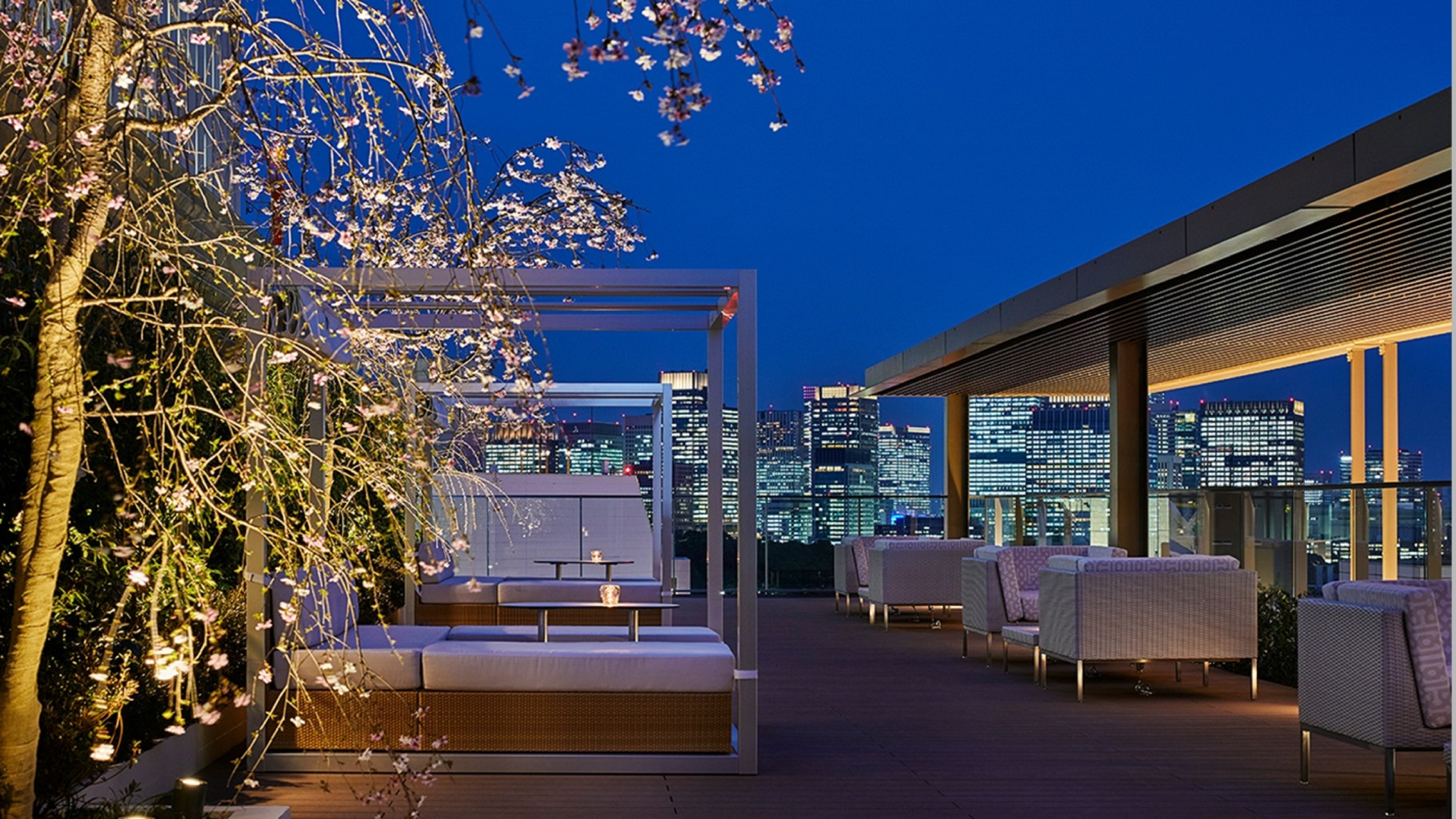 Rooftop Bar