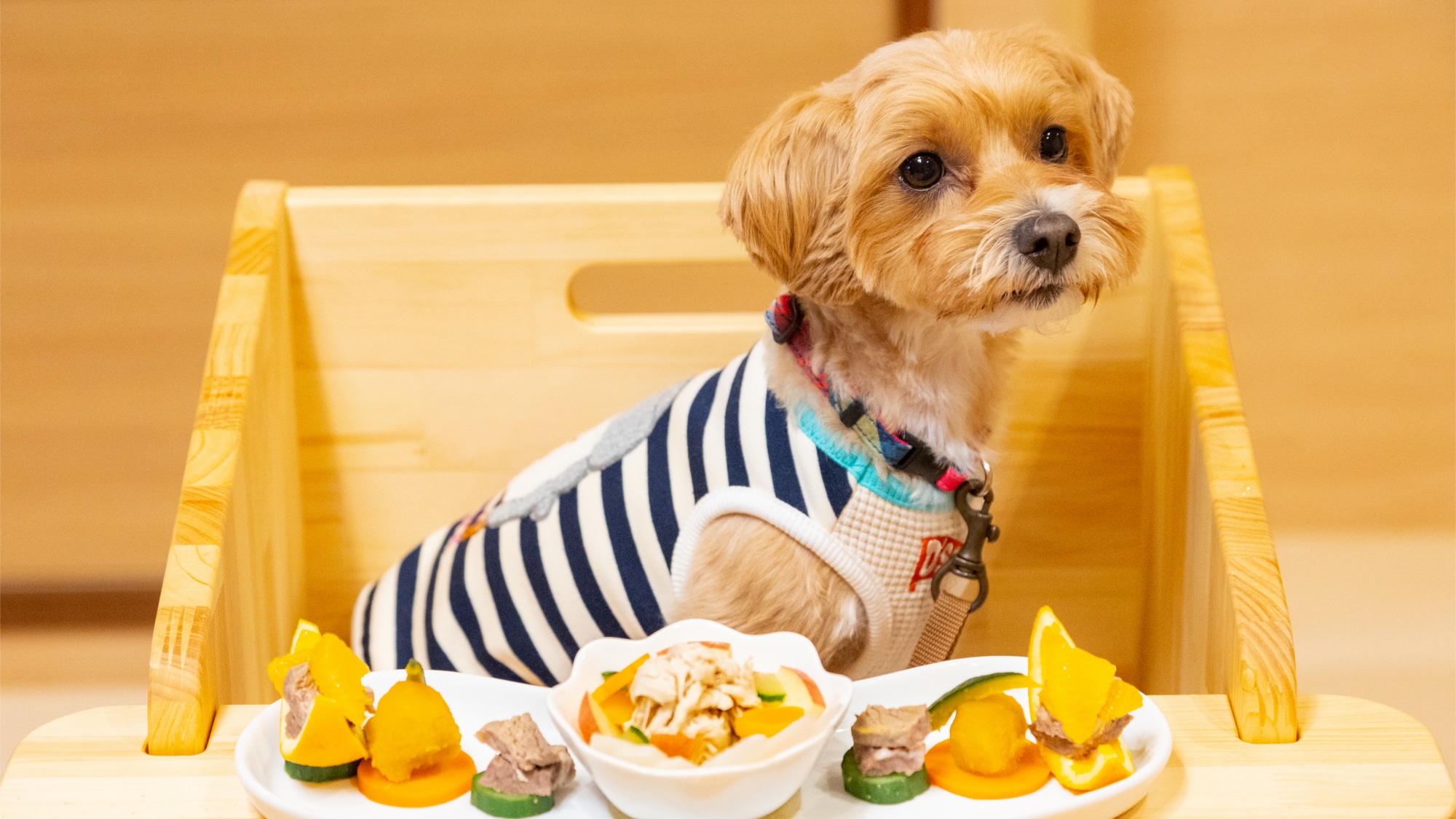 [KaZeDoG] เตรียมข้าวให้น้องหมาได้! กรุณาเข้าร่วมกับเราในห้อง♪