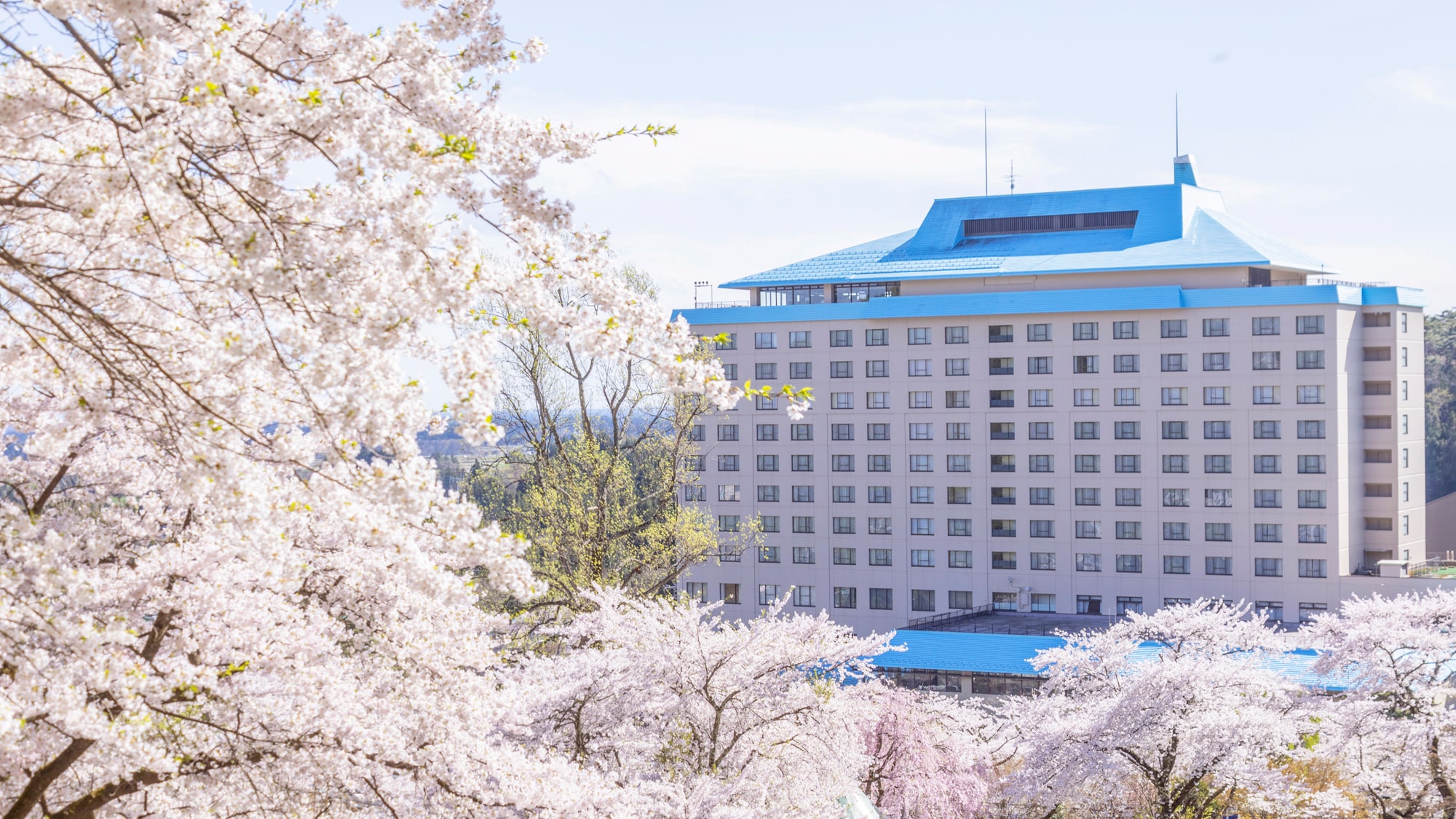 ホテル千秋閣 外観(春)