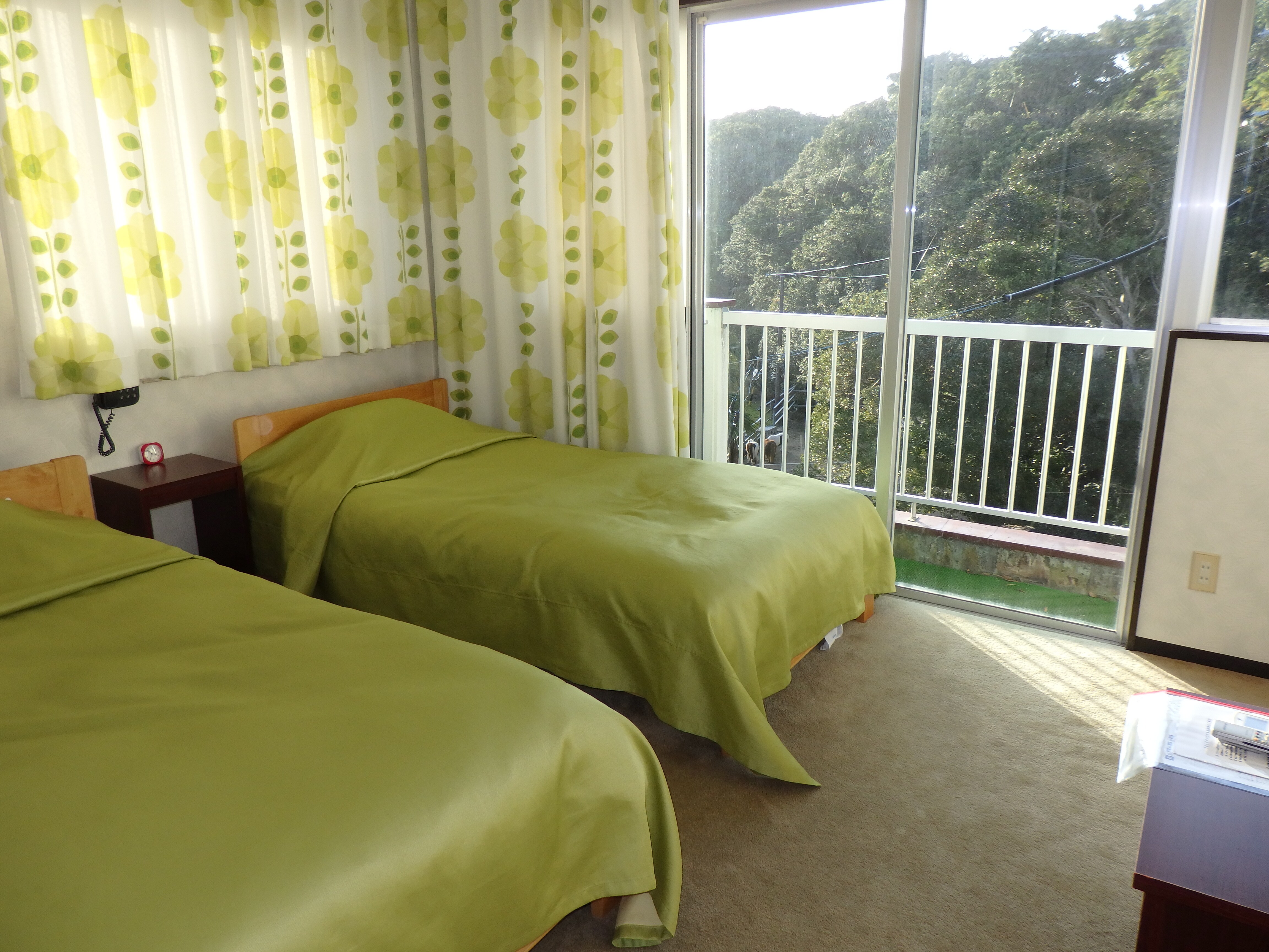 Mountainside Twin Room