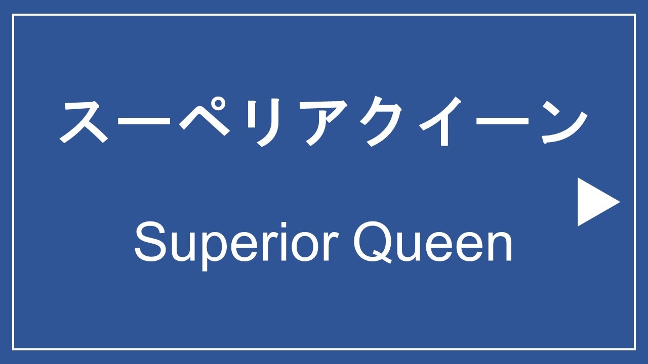 ■ Superior Queen Room ■ 16 sqm / bed width 160 cm
