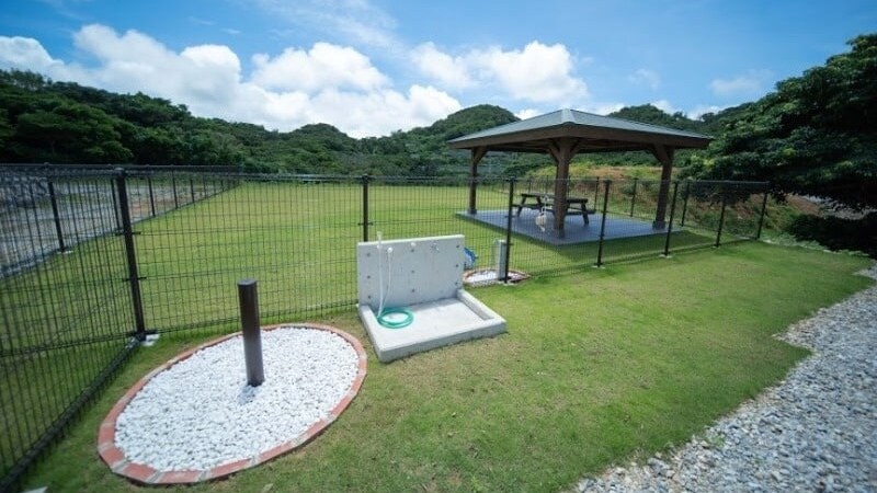 Dog run