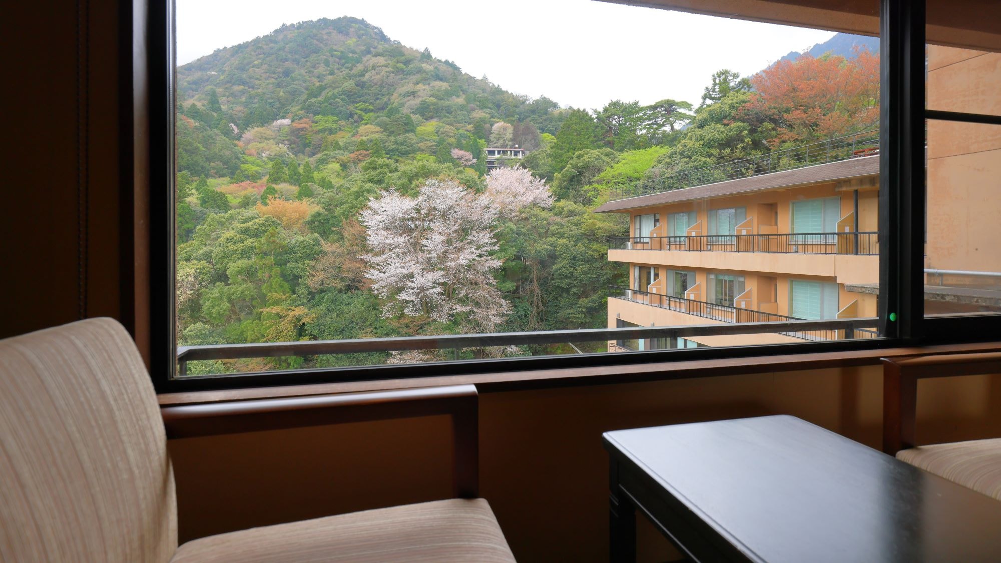 Spacious 12-tatami Japanese-style room (with bathroom) Non-smoking