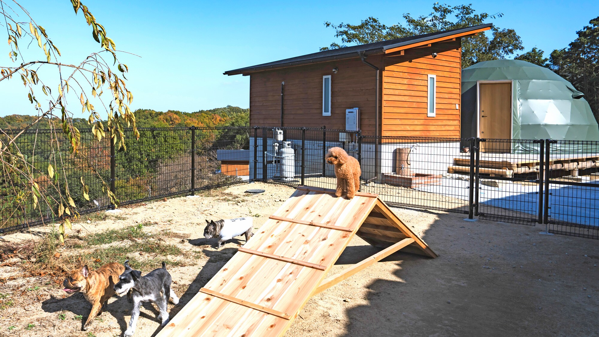 Dog Run RoomA spacious dog run that is only open in the summer.